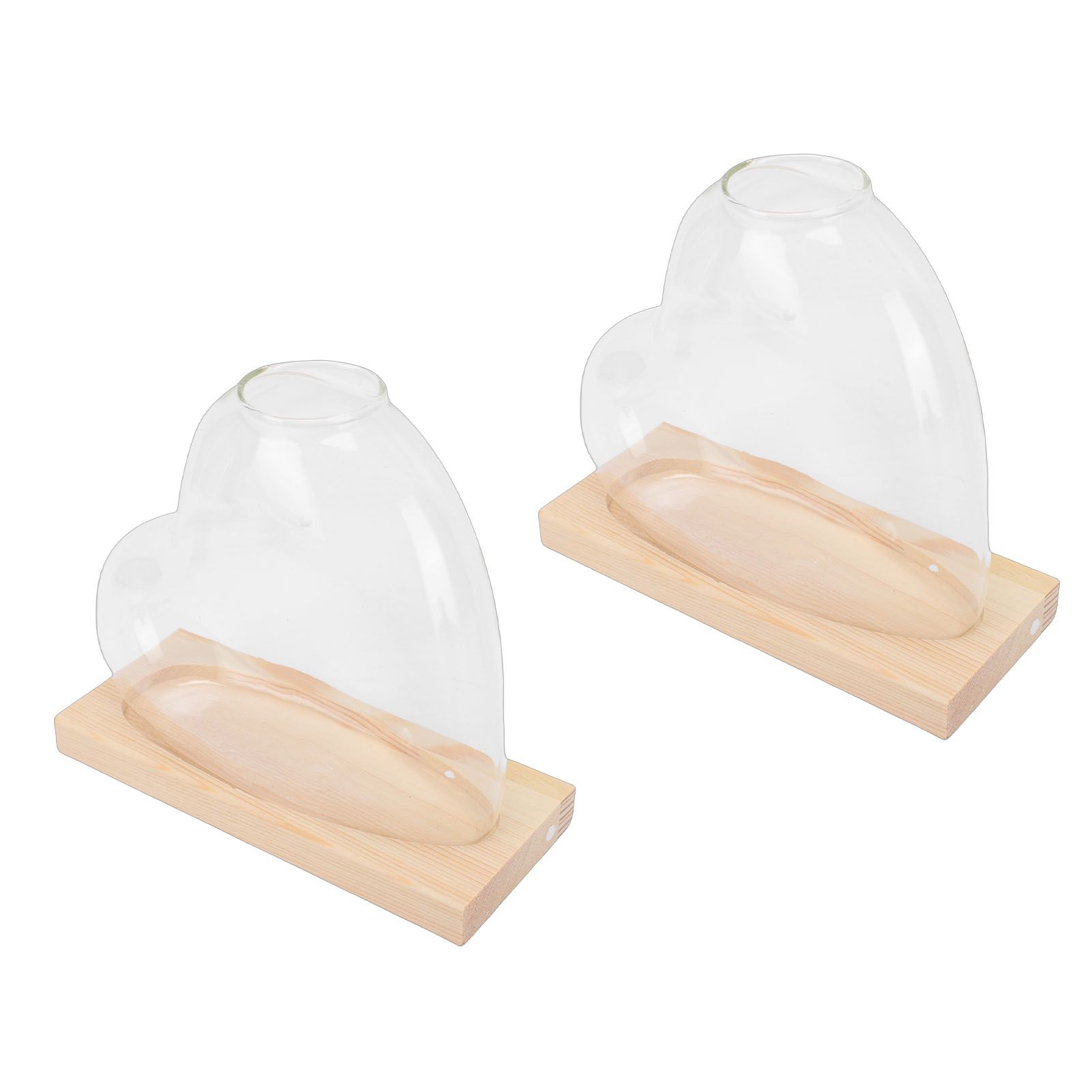 2PCS Propagation Vases Heart Shaped Glass Desktop Planter Plant Propagation view 10