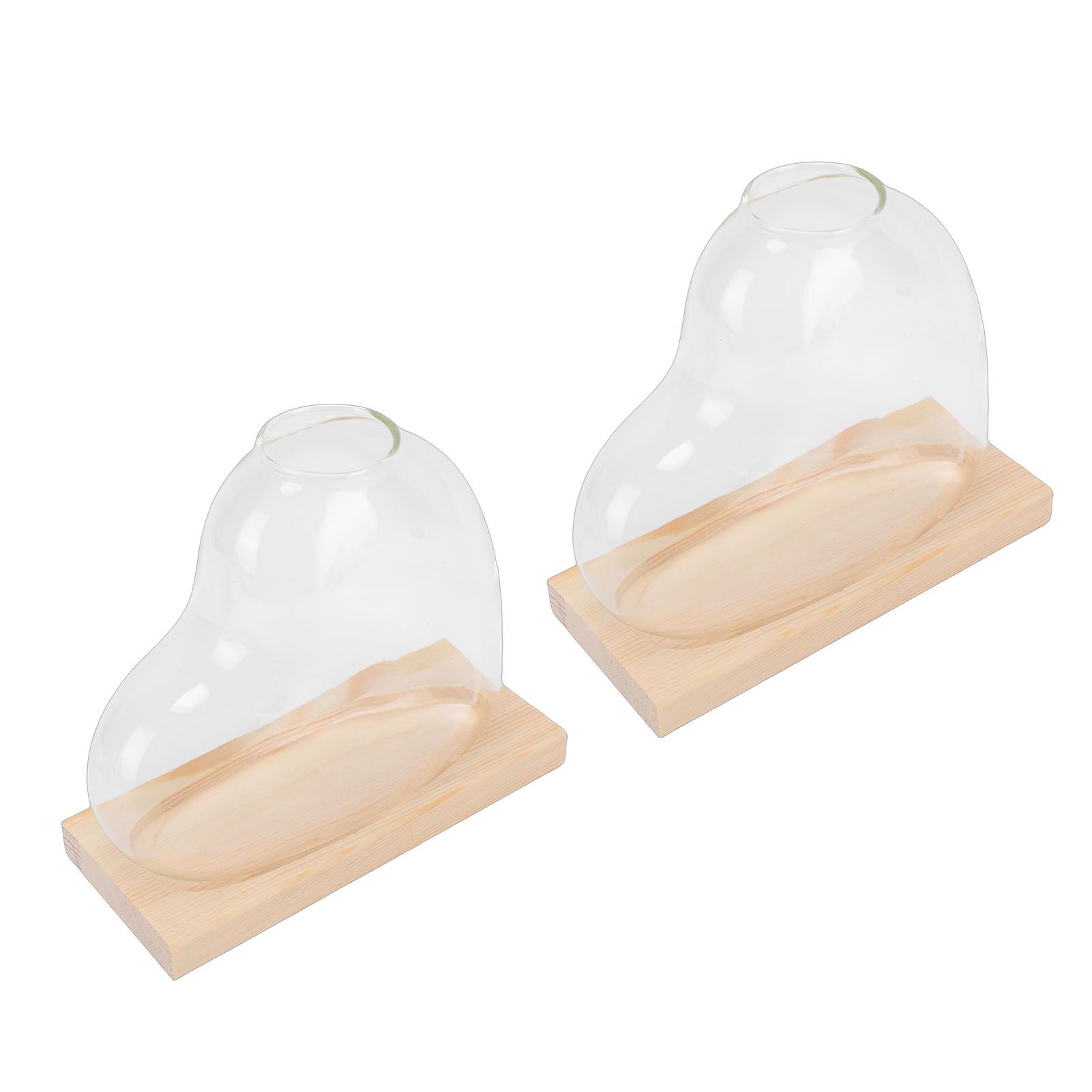 2PCS Propagation Vases Heart Shaped Glass Desktop Planter Plant Propagation view 11