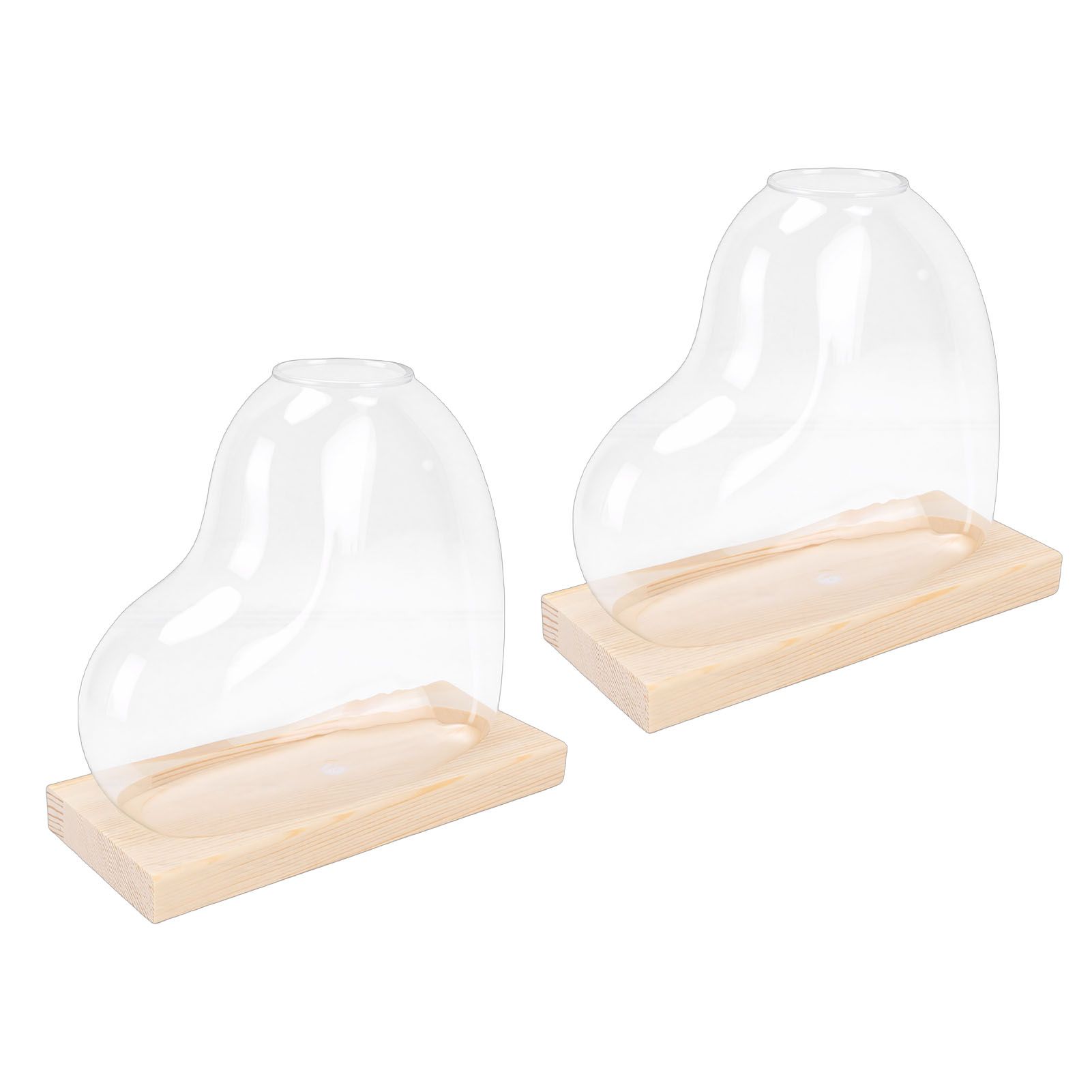 2PCS Propagation Vases Heart Shaped Glass Desktop Planter Plant Propagation view 12
