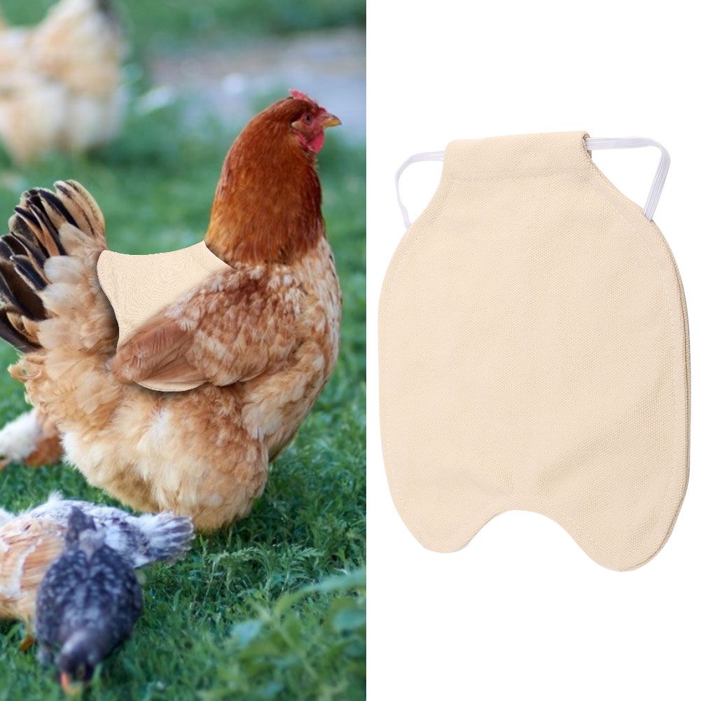 Pet Feather Protection Fixer Back Wing Protector Hen Chicken Saddle Apron view 10