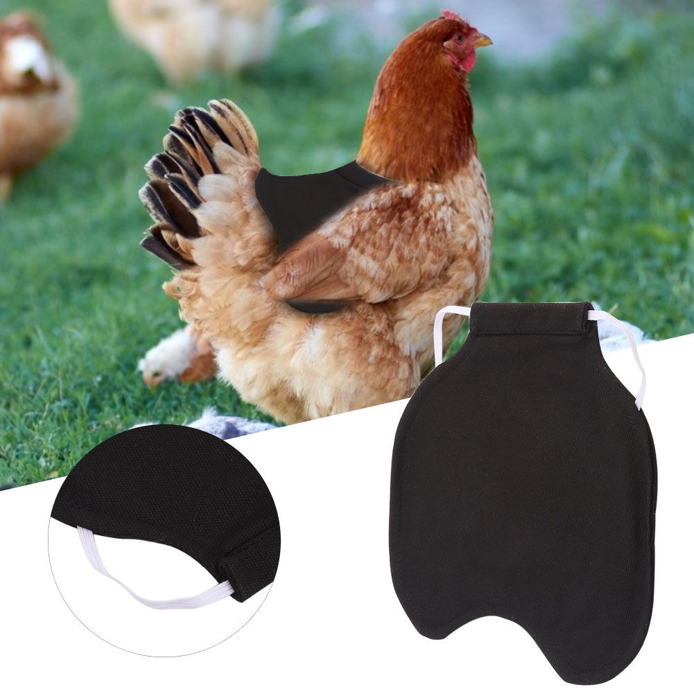 Pet Feather Protection Fixer Back Wing Protector Hen Chicken Saddle Apron view 8