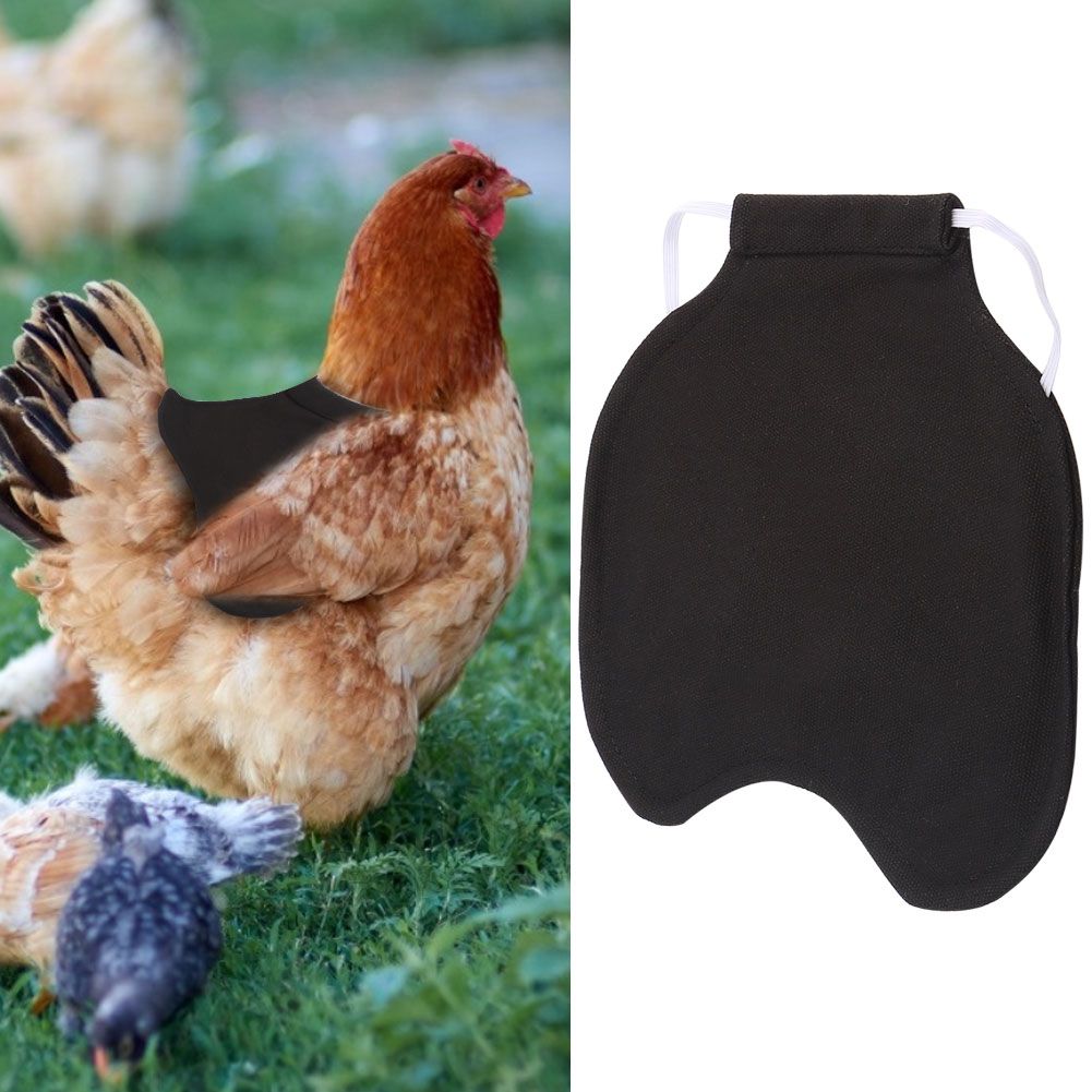 Pet Feather Protection Fixer Back Wing Protector Hen Chicken Saddle Apron view 9