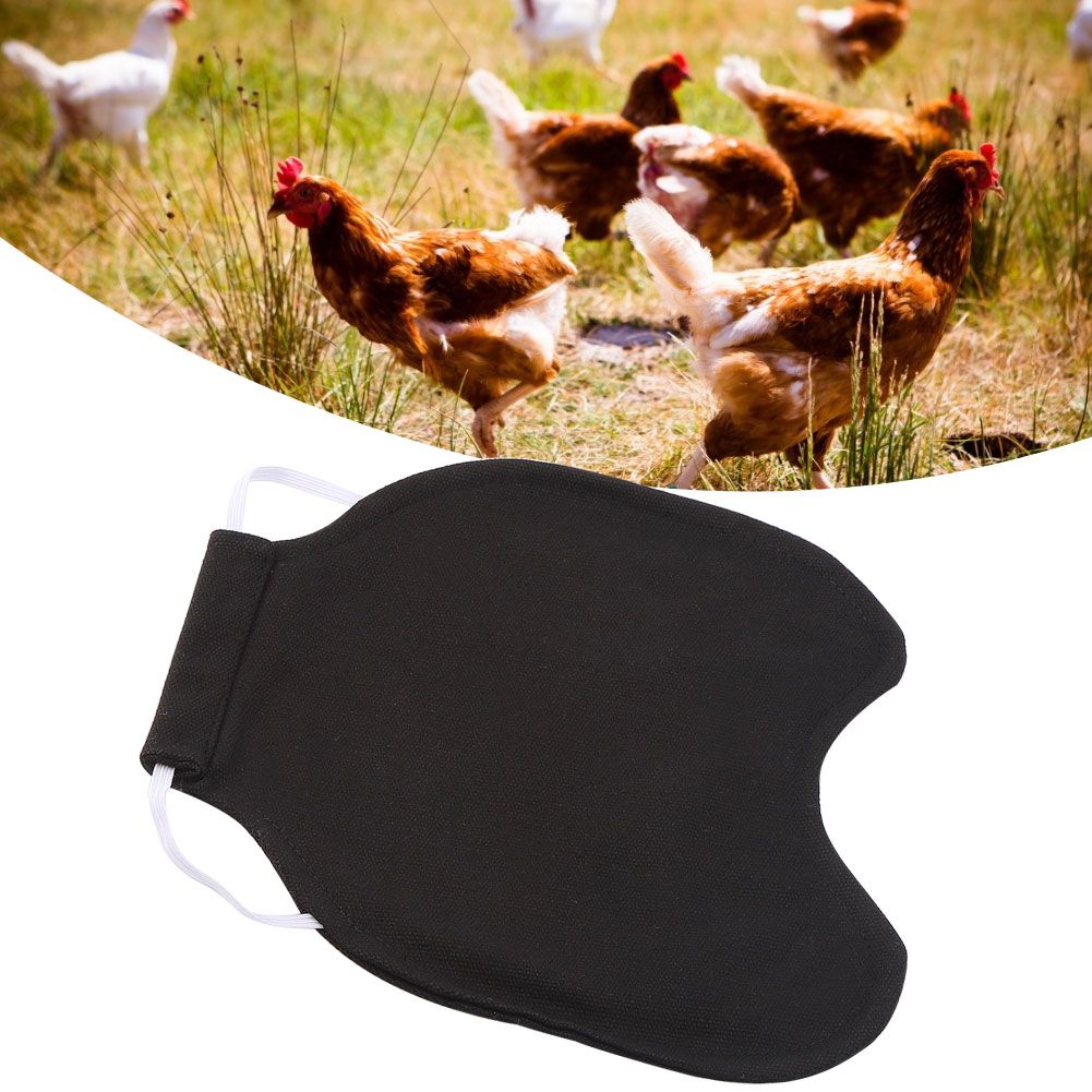 Pet Feather Protection Fixer Back Wing Protector Hen Chicken Saddle Apron view 10