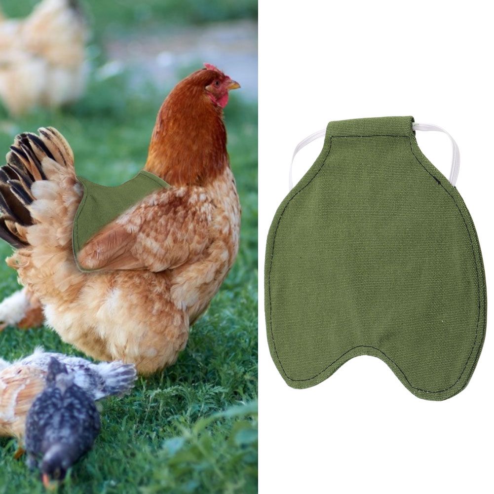 Pet Feather Protection Fixer Back Wing Protector Hen Chicken Saddle Apron view 10