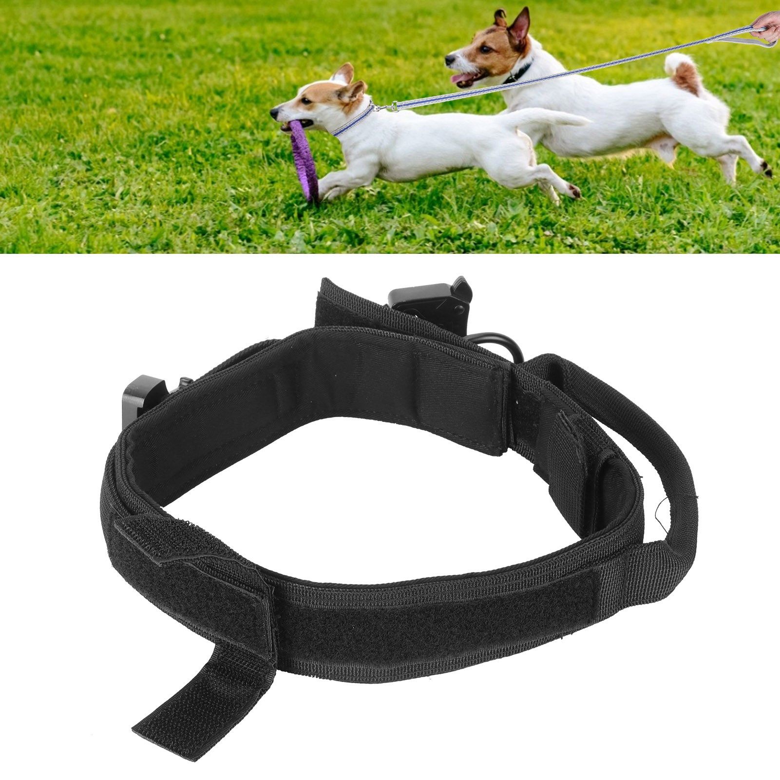 Pet Dog Collar Nylon Training Hunting Traction Collar with Steel Buckle Pet view 11