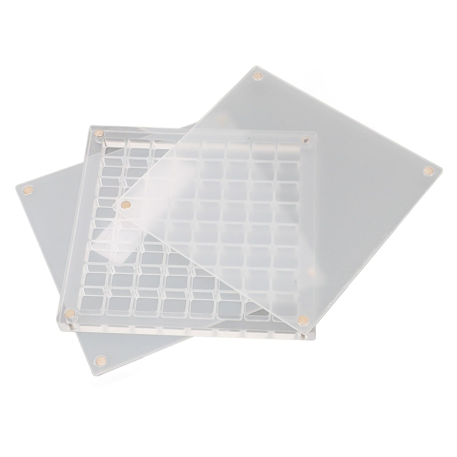 Magnetic Seashell Display Box Clear Acrylic Seashell Collection Storage Case view 4