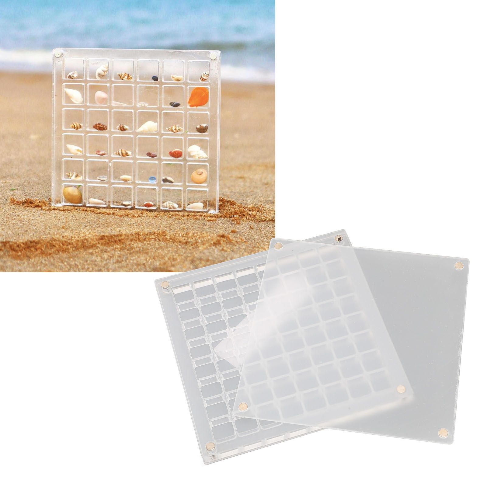 Magnetic Seashell Display Box Clear Acrylic Seashell Collection Storage Case view 12