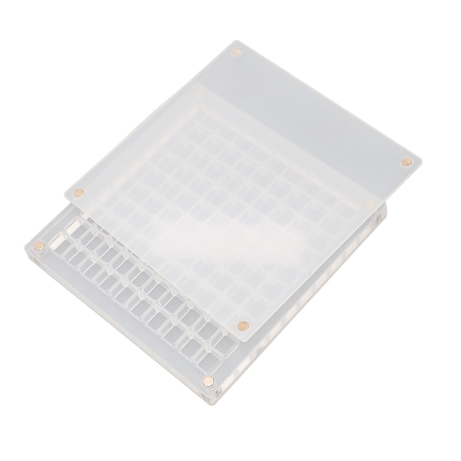 Magnetic Seashell Display Box Clear Acrylic Seashell Collection Storage Case view 6
