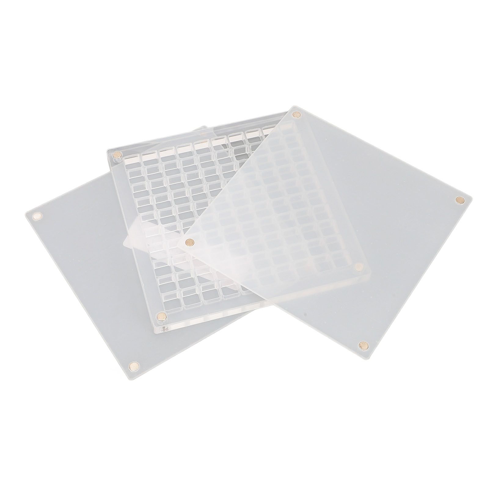 Magnetic Seashell Display Box Clear Acrylic Seashell Collection Storage Case view 7