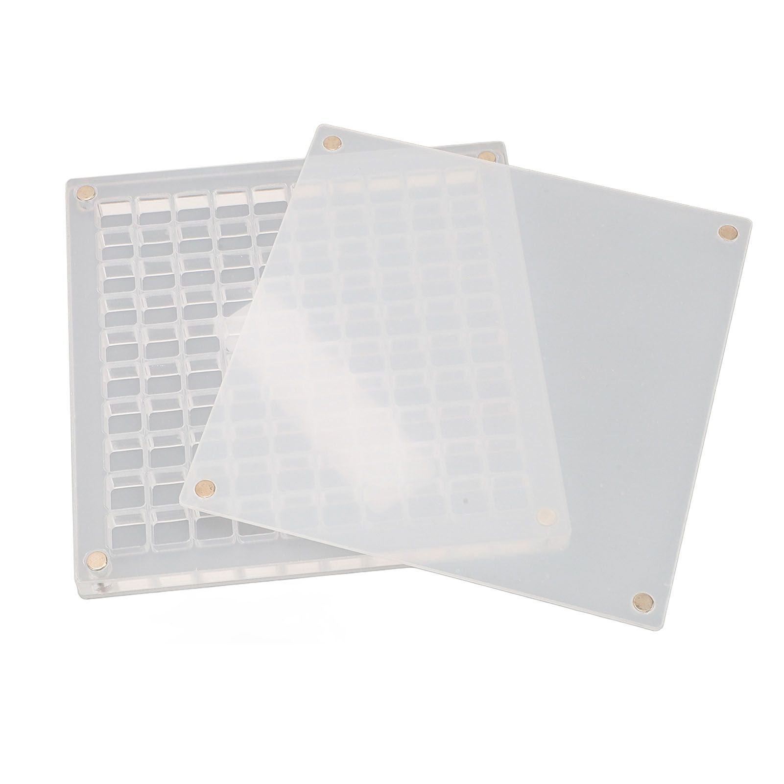 Magnetic Seashell Display Box Clear Acrylic Seashell Collection Storage Case view 9