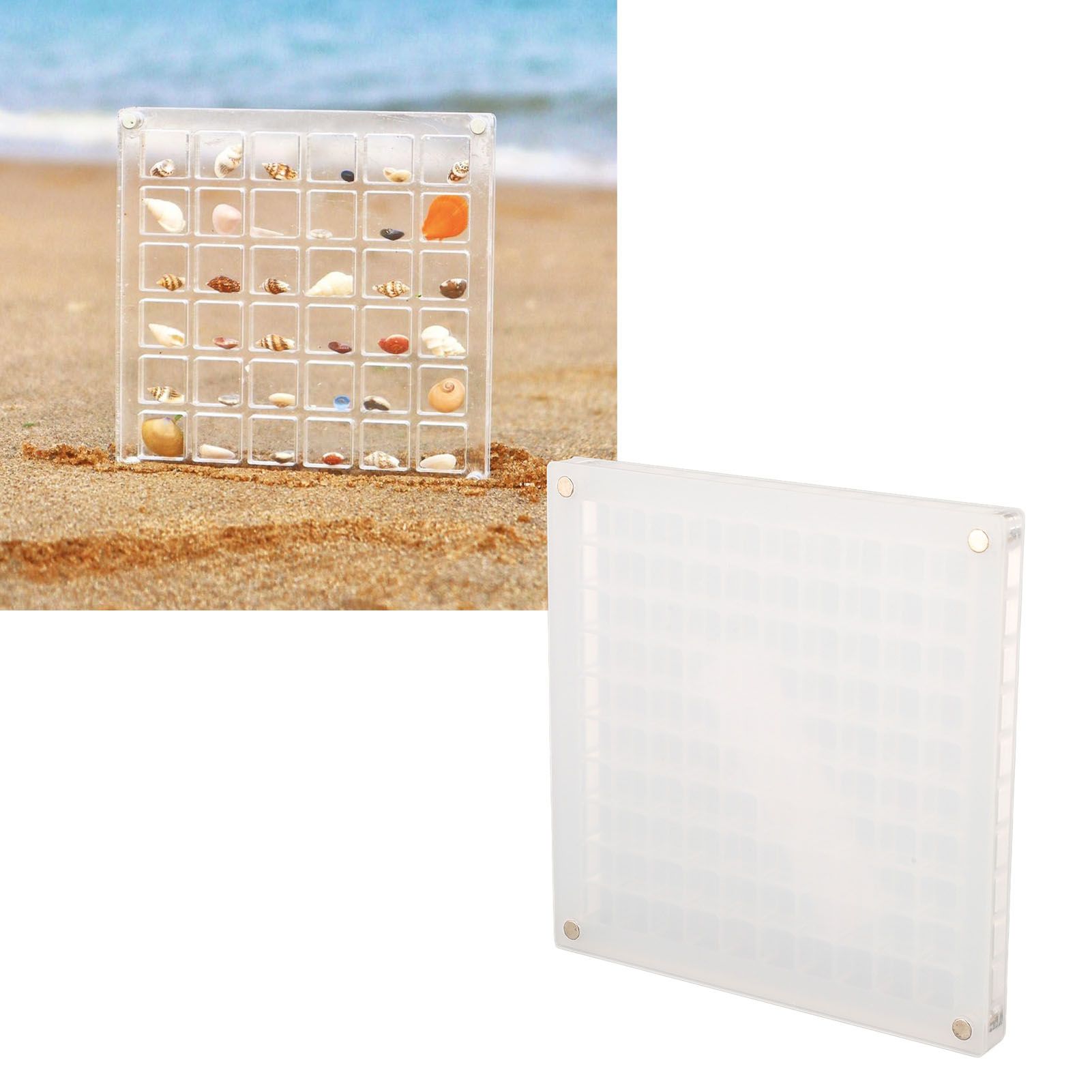 Magnetic Seashell Display Box Clear Acrylic Seashell Collection Storage Case view 11