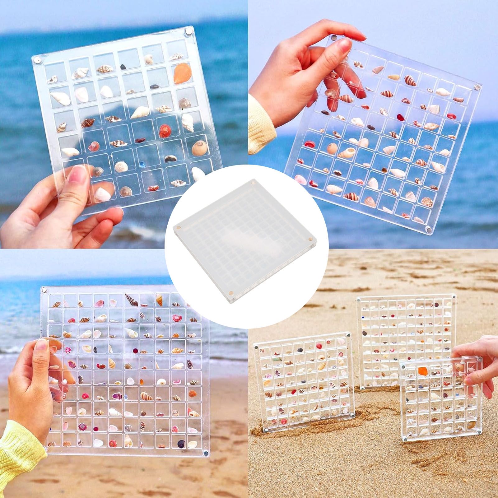 Magnetic Seashell Display Box Clear Acrylic Seashell Collection Storage Case view 12