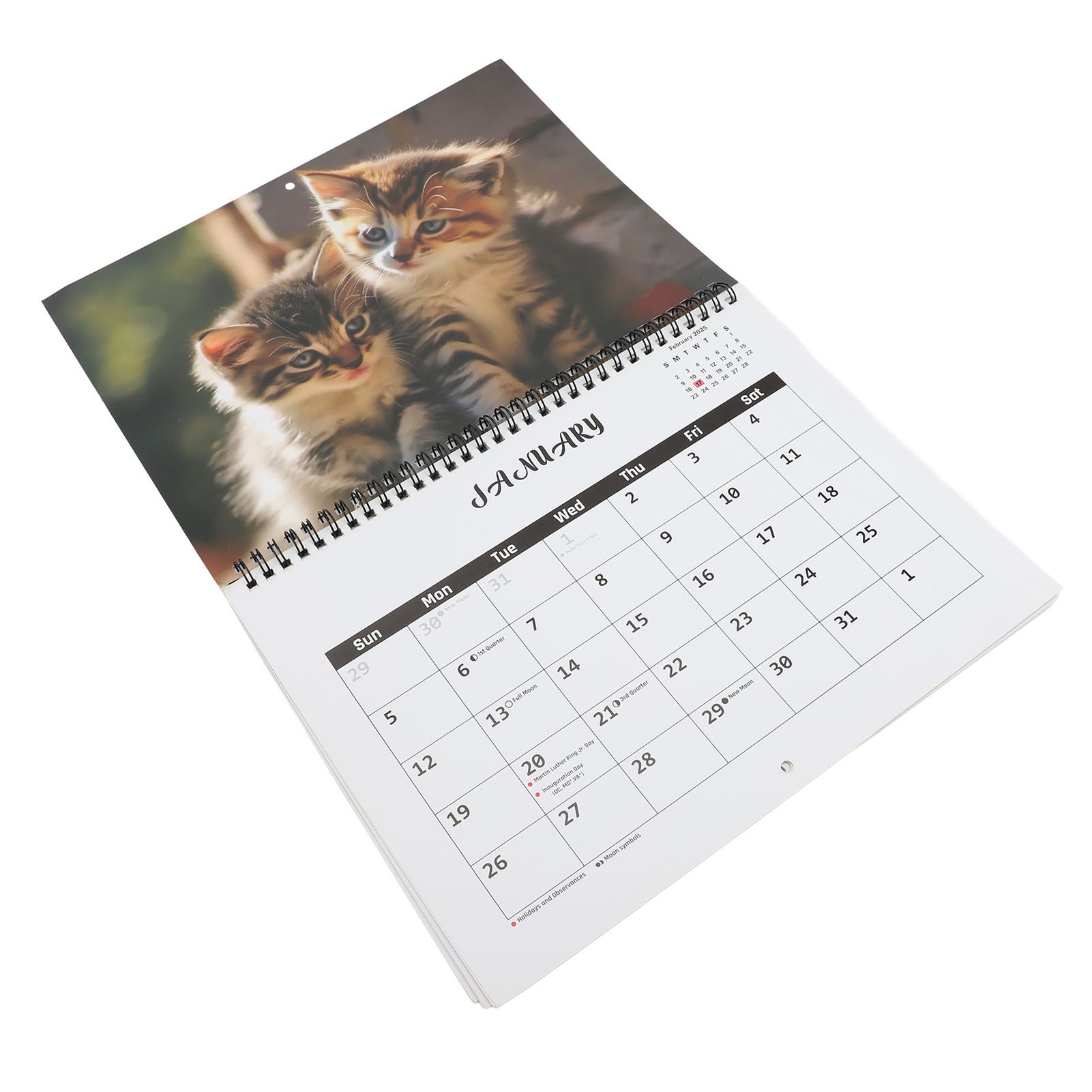 2025 Wall Cat Calendar 12 Month Thick Paper Double Sided Binding Julian view 4