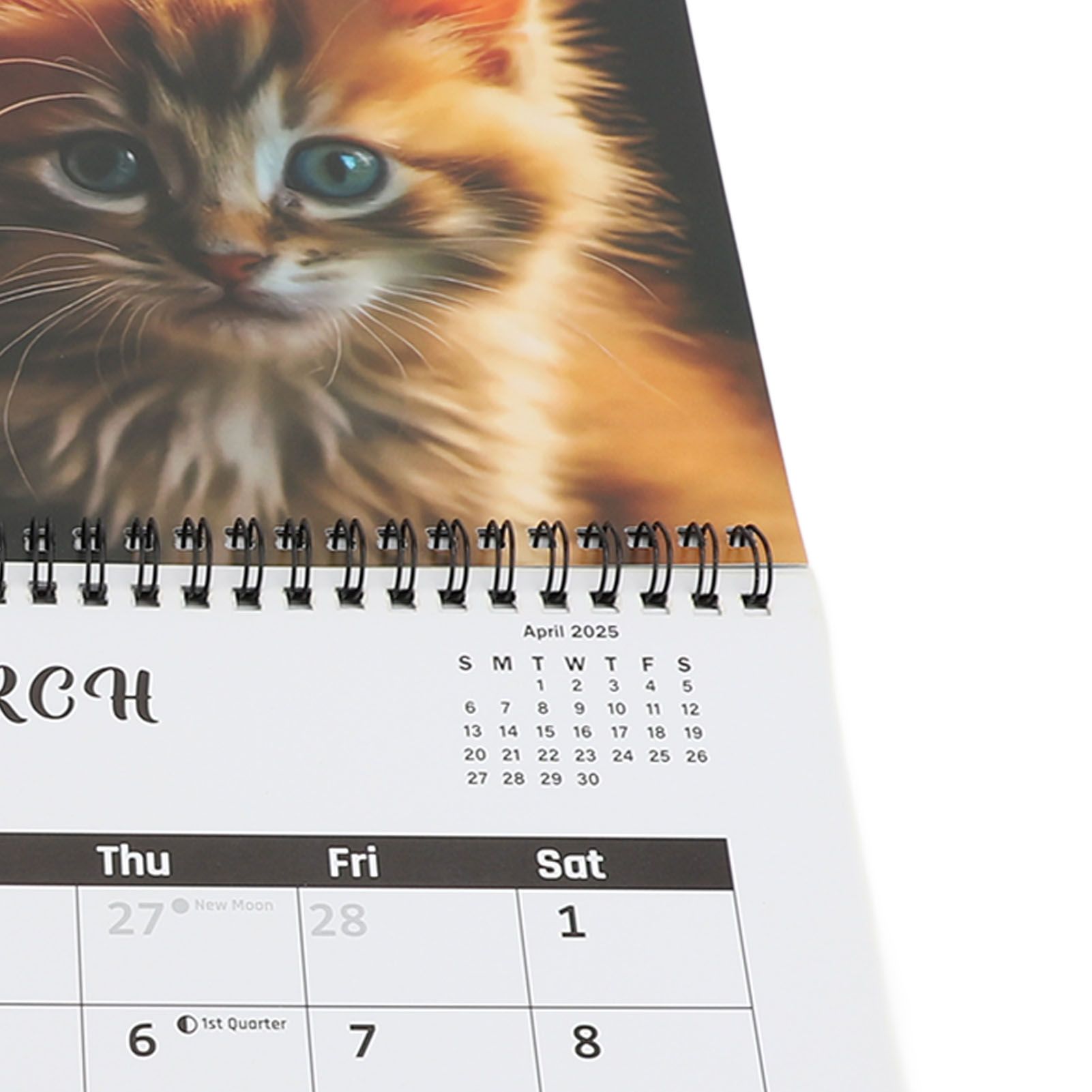2025 Wall Cat Calendar 12 Month Thick Paper Double Sided Binding Julian view 5