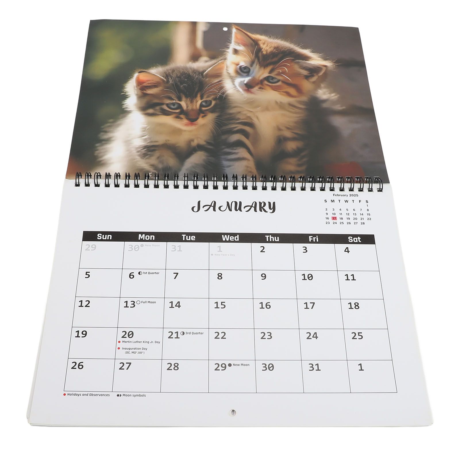 2025 Wall Cat Calendar 12 Month Thick Paper Double Sided Binding Julian view 6
