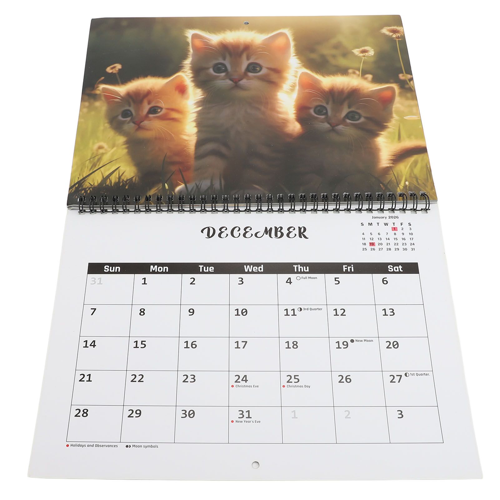 2025 Wall Cat Calendar 12 Month Thick Paper Double Sided Binding Julian view 11