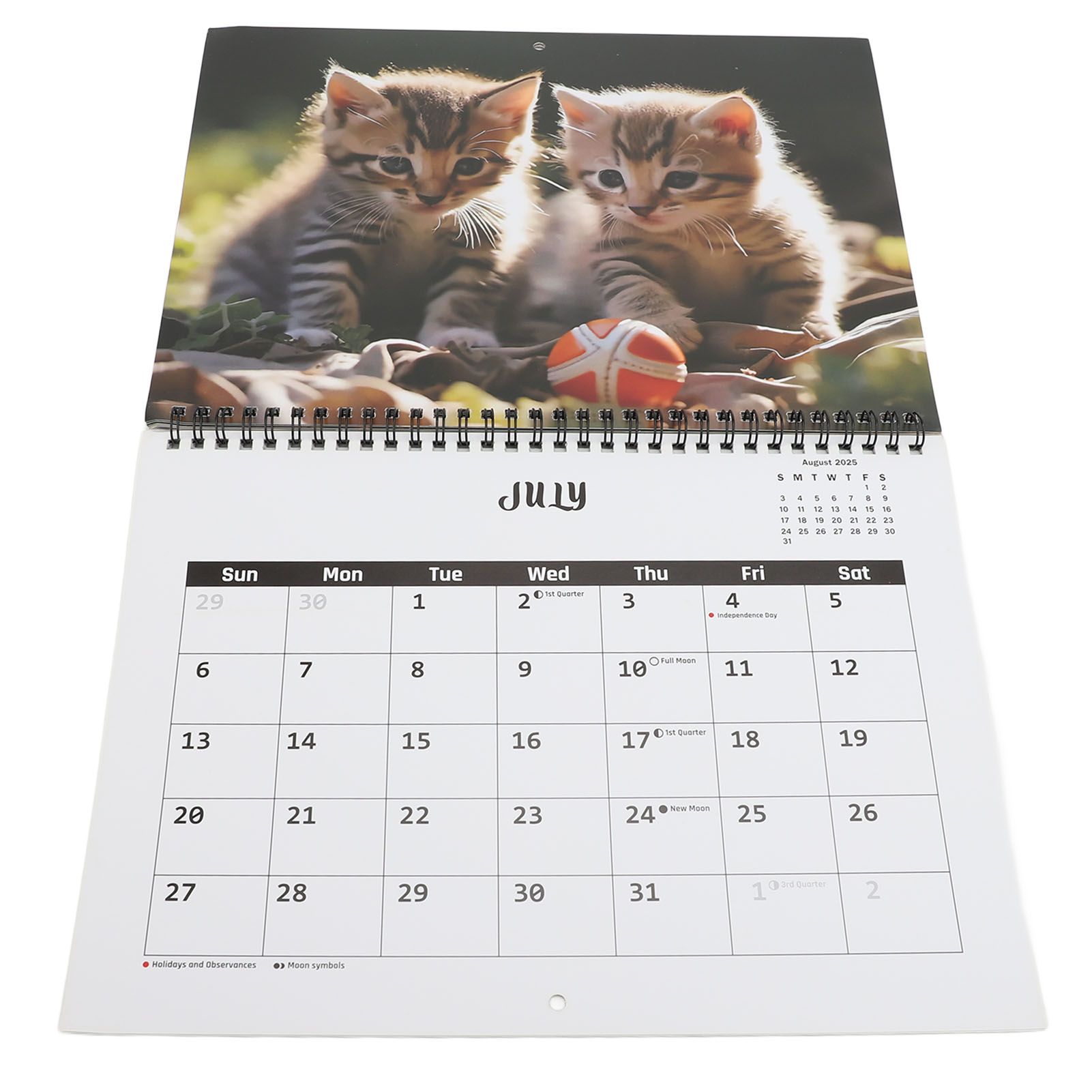 2025 Wall Cat Calendar 12 Month Thick Paper Double Sided Binding Julian view 12
