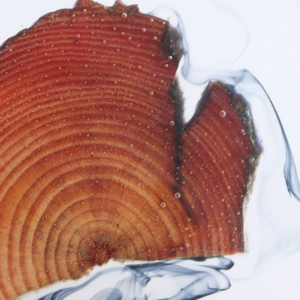 Resin Pine Coasters Heat Resistant Placemats Drink Mat Tea Coffee Cup Pad view 11