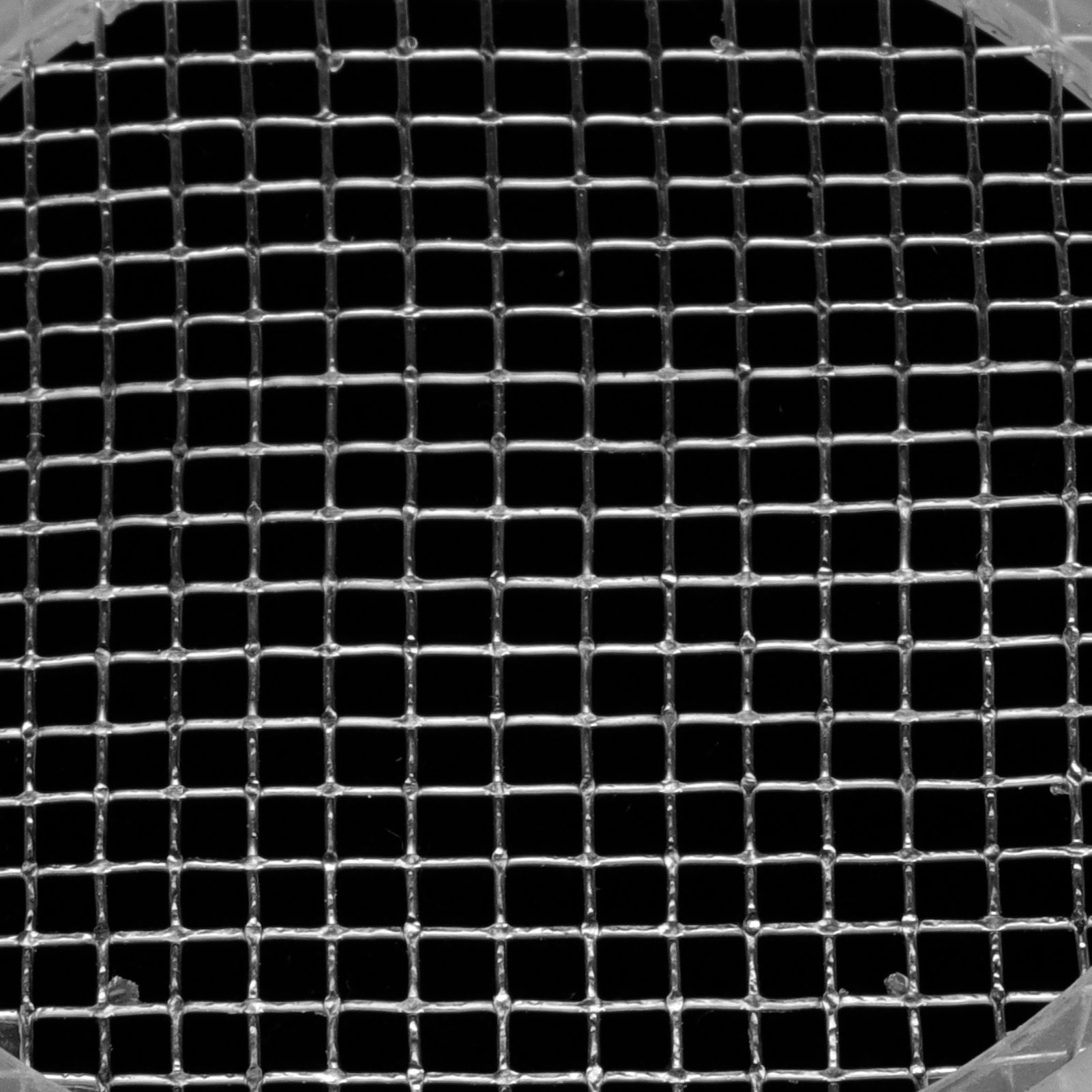 2in Stainless Steel Gasket Mesh Screen for Tri Clamp Connections Homebrew view 11