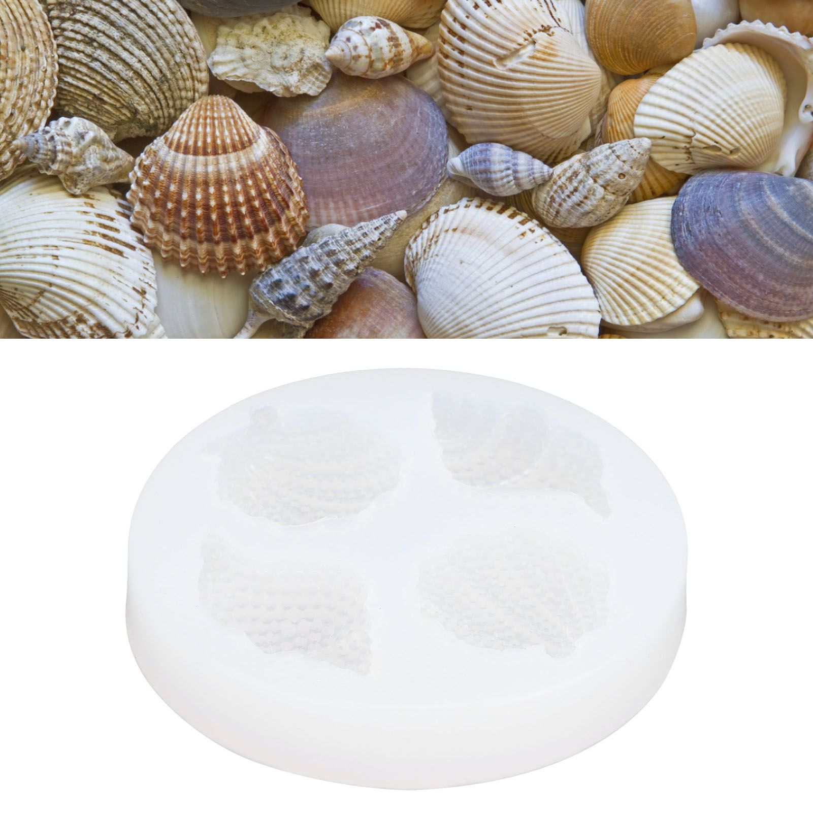 5PCS Silicone Mold Shell Conch Mirror Epoxy DIY Crafts Decoration Mold for view 12