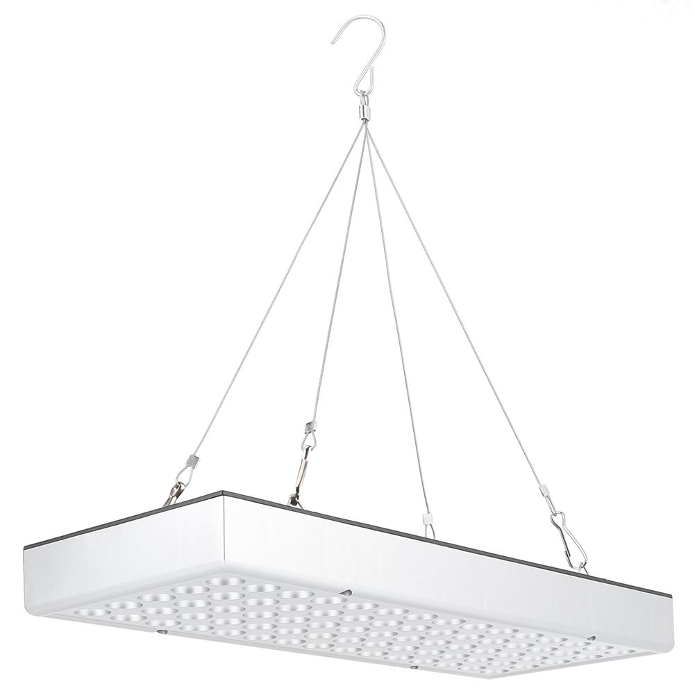 Plant Growth LED Light Full Spectrum Growing Lights for Greenhouse Horticulture view 3