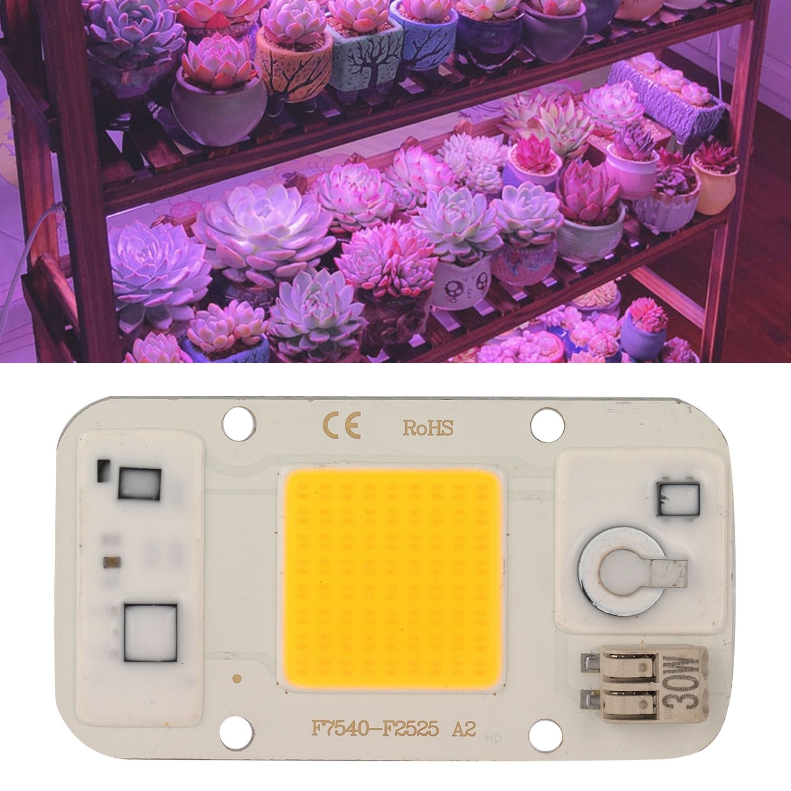 220V High Pressure Free Drive Light Source 30W LED Chip Integrated Lamp Bead view 11