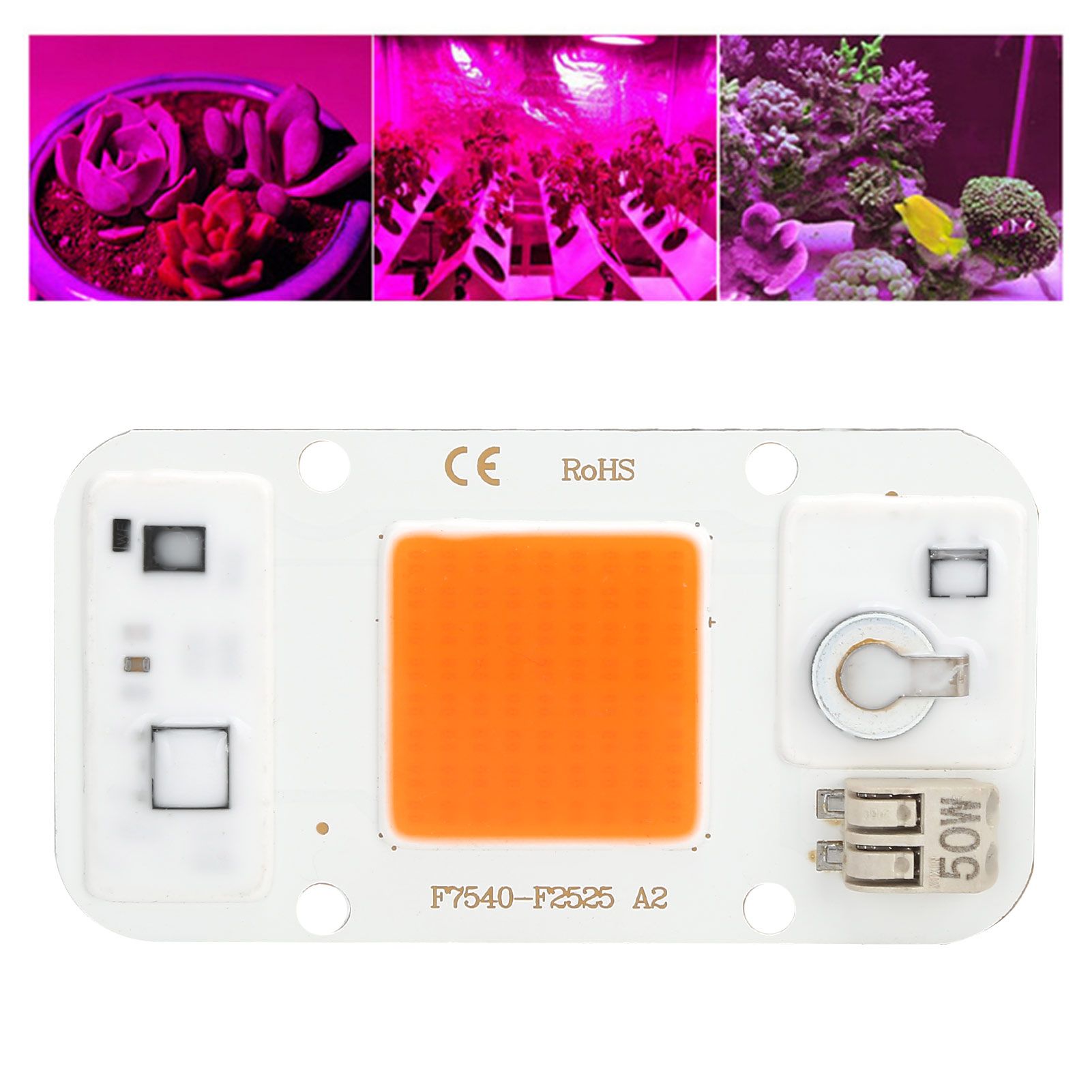 220V High Voltage DriveFree Light Source 50W LED Chip LED Integrated Lamp Bead view 11