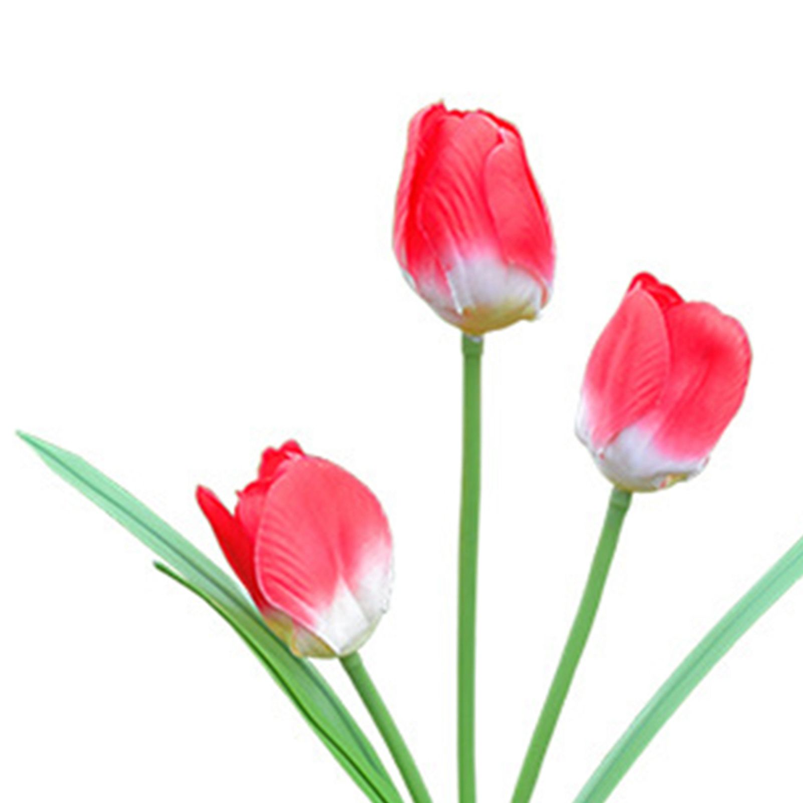 Solar Tulip Garden Light 3 Branches Waterproof Outdoor Solar Tulip Flower LED view 7