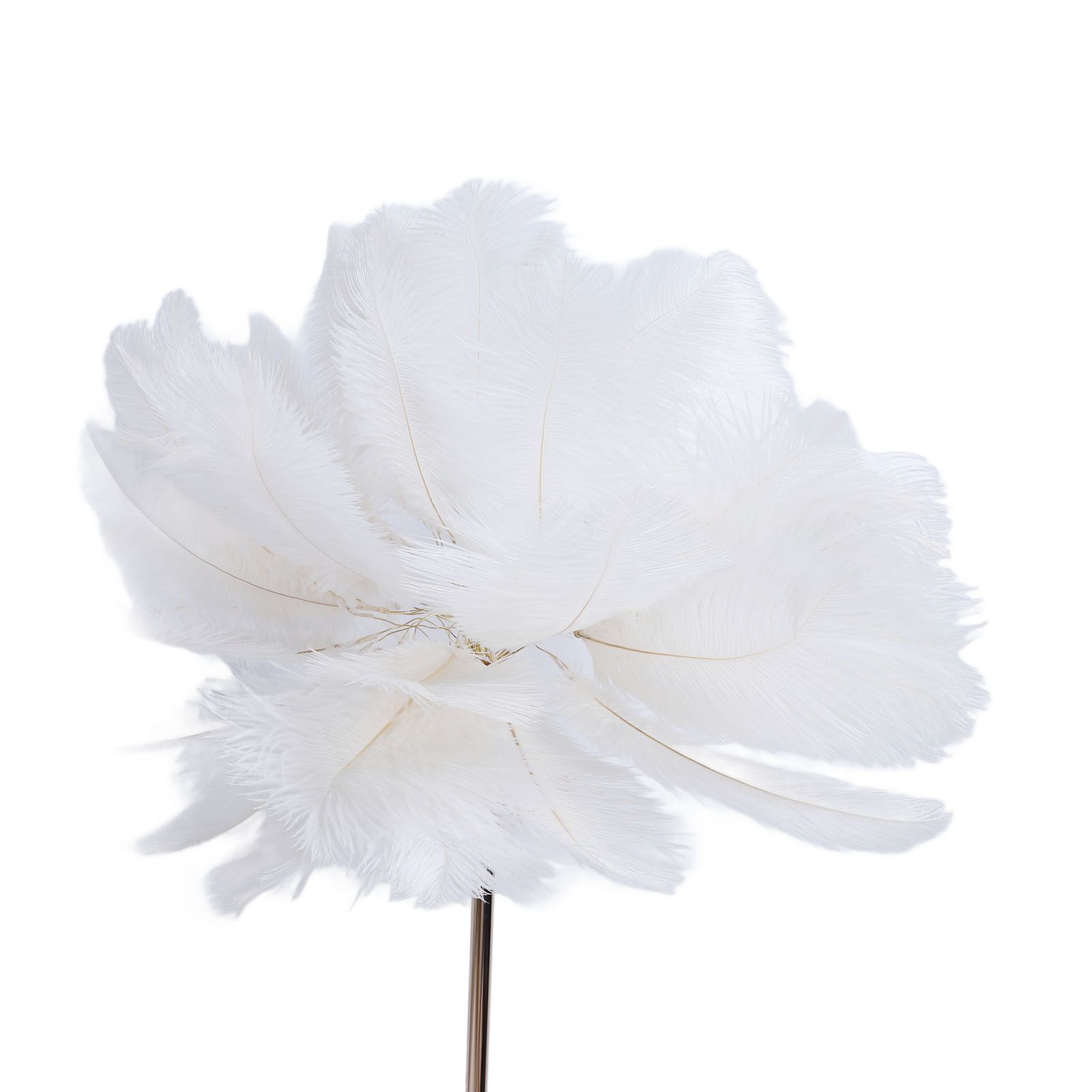 Ostrich Plume Floor Lamp Iron Art 61 Inch LED USB Stepless Dimmable Modern view 7