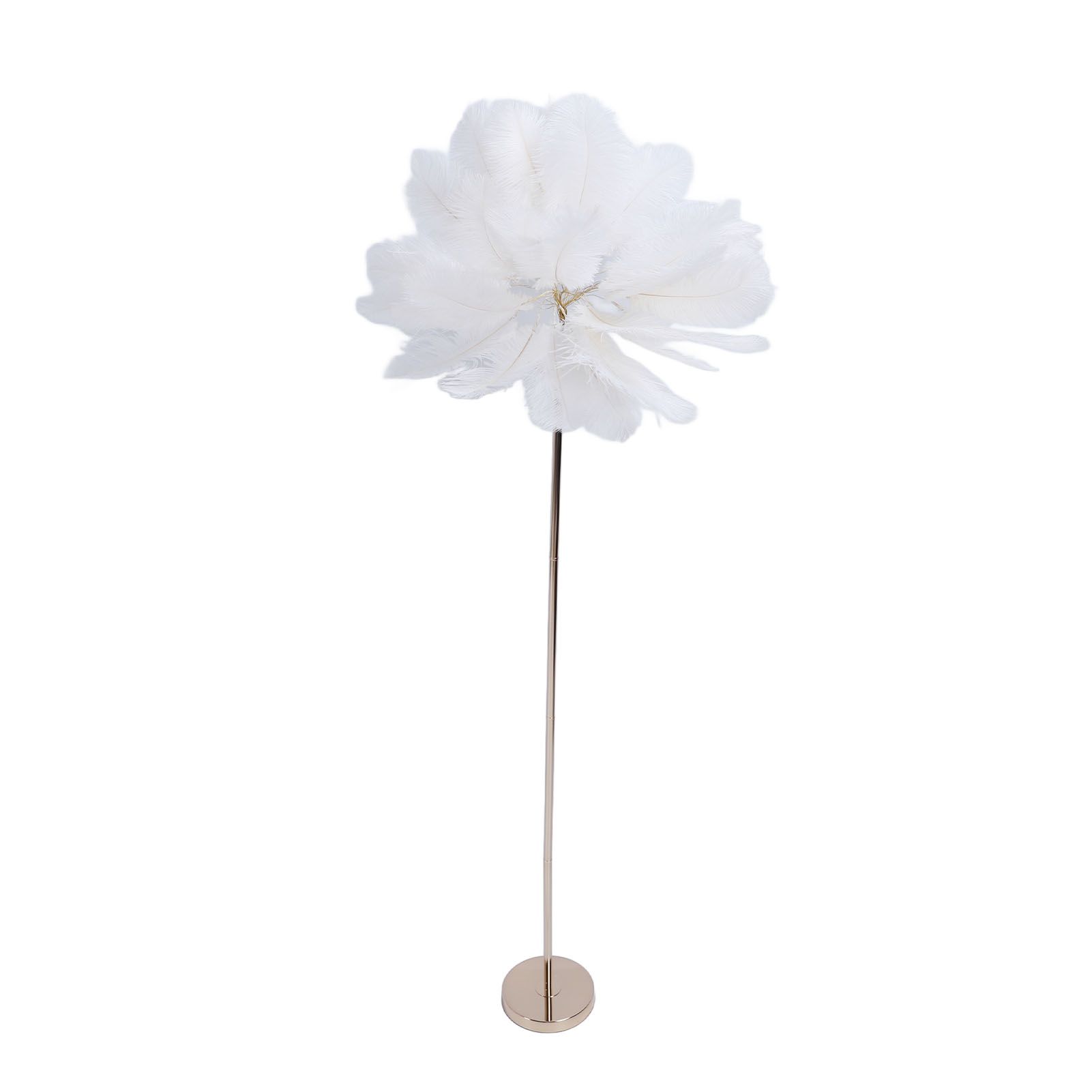Ostrich Plume Floor Lamp Iron Art 61 Inch LED USB Stepless Dimmable Modern view 10