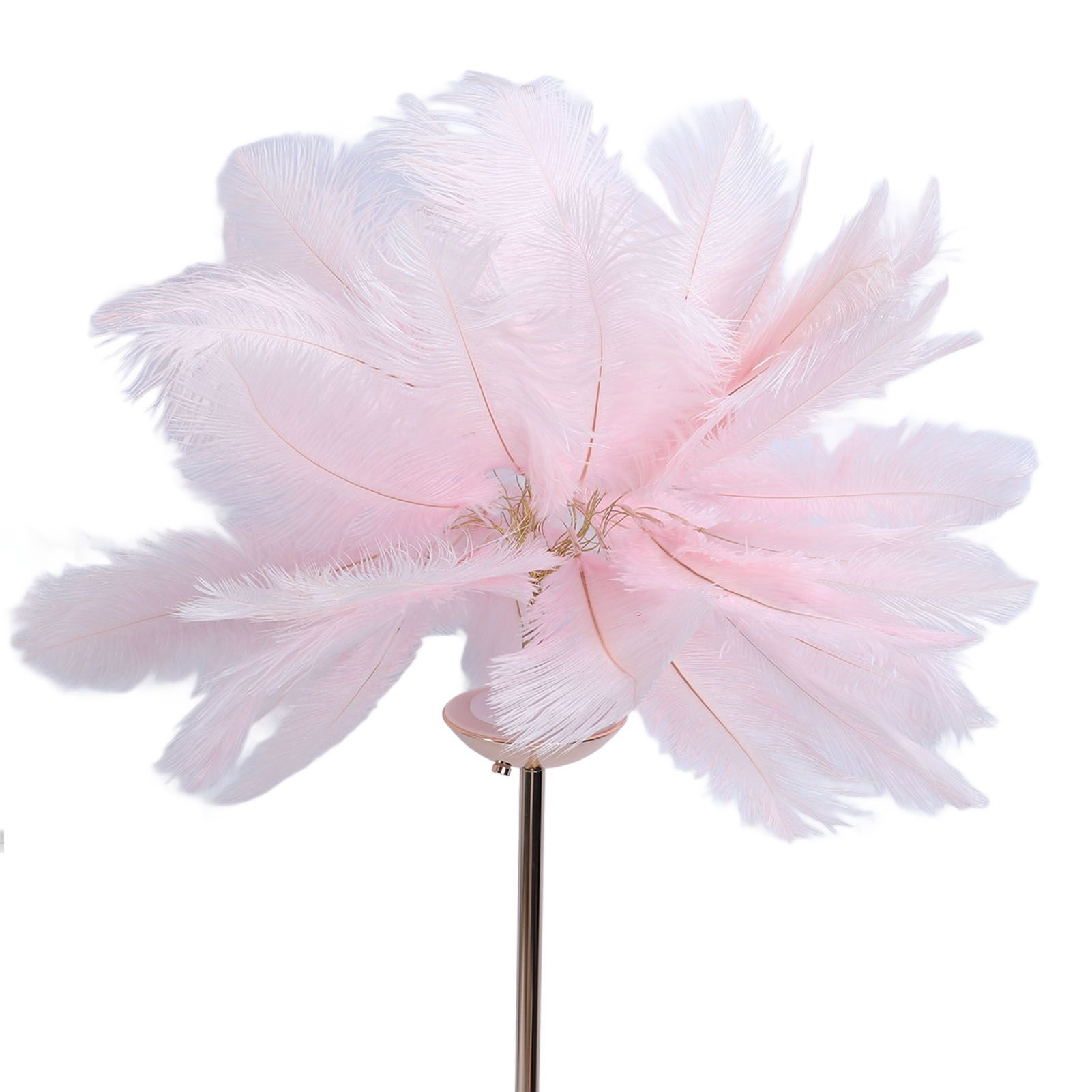 61in Decorative Feather LED Floor Lamp 3 Color Temperature Stepless Dimming view 2
