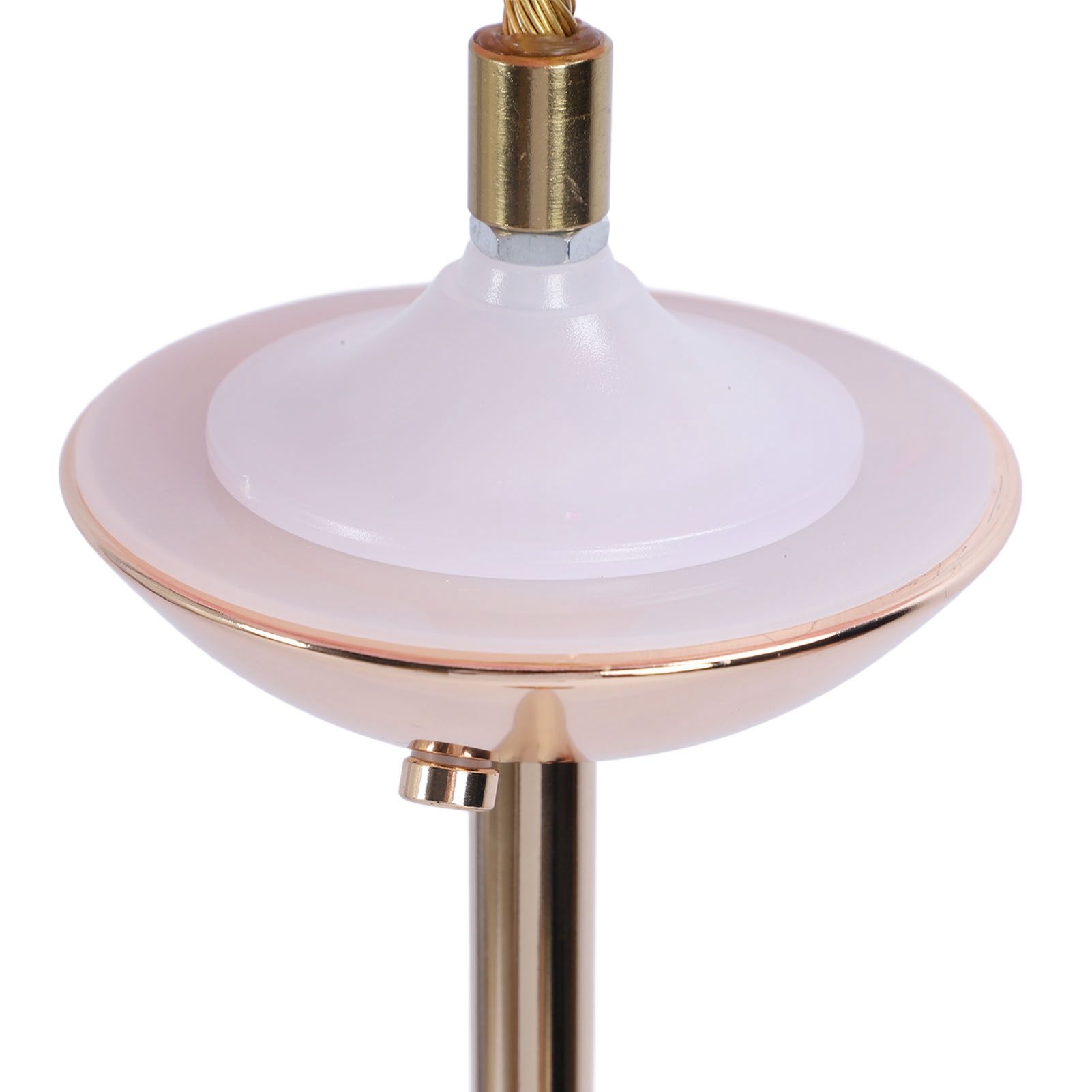 61in Decorative Feather LED Floor Lamp 3 Color Temperature Stepless Dimming view 7