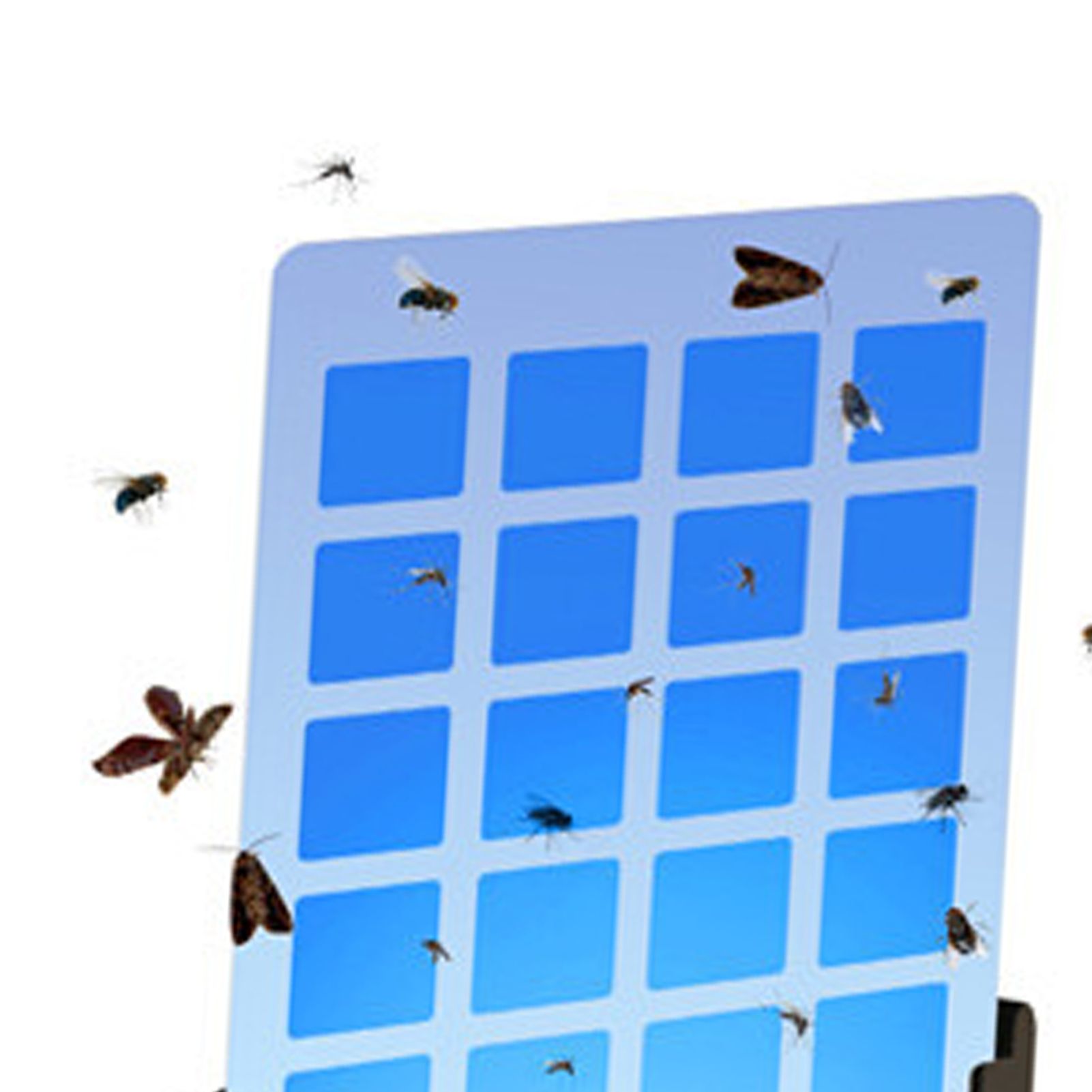 Indoor Fly Trap 5LED Plug In 365 to 395nm Strong Adhesive Long Life Fruit Fly view 5
