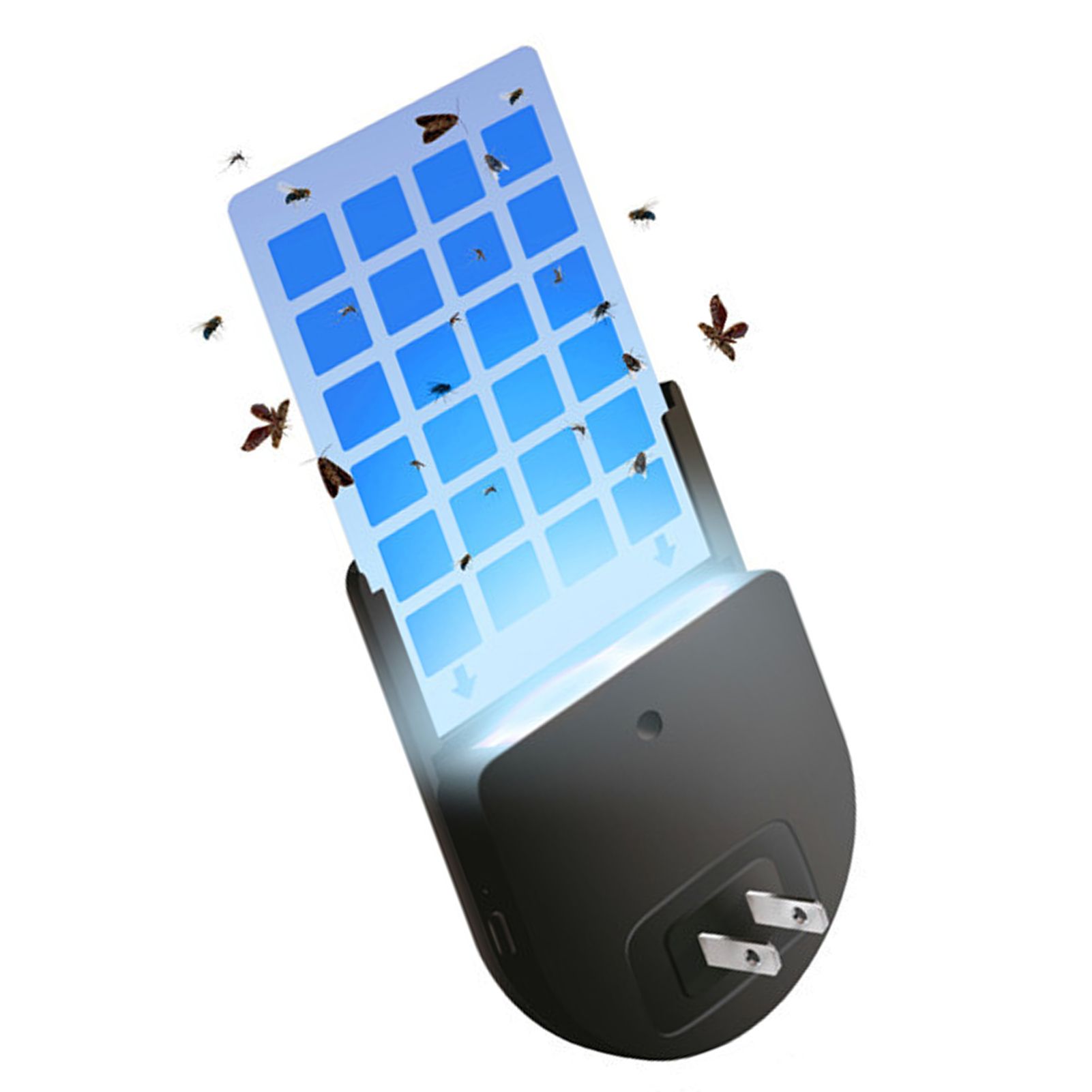 Indoor Fly Trap 5LED Plug In 365 to 395nm Strong Adhesive Long Life Fruit Fly view 6