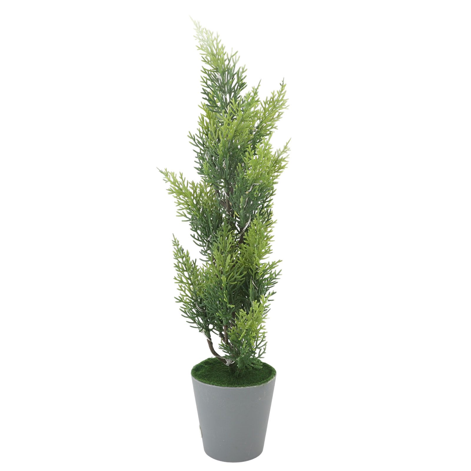 Lighted Cypress Tree Decor USB Powered LED Mini Light Up Table Centerpiece view 6