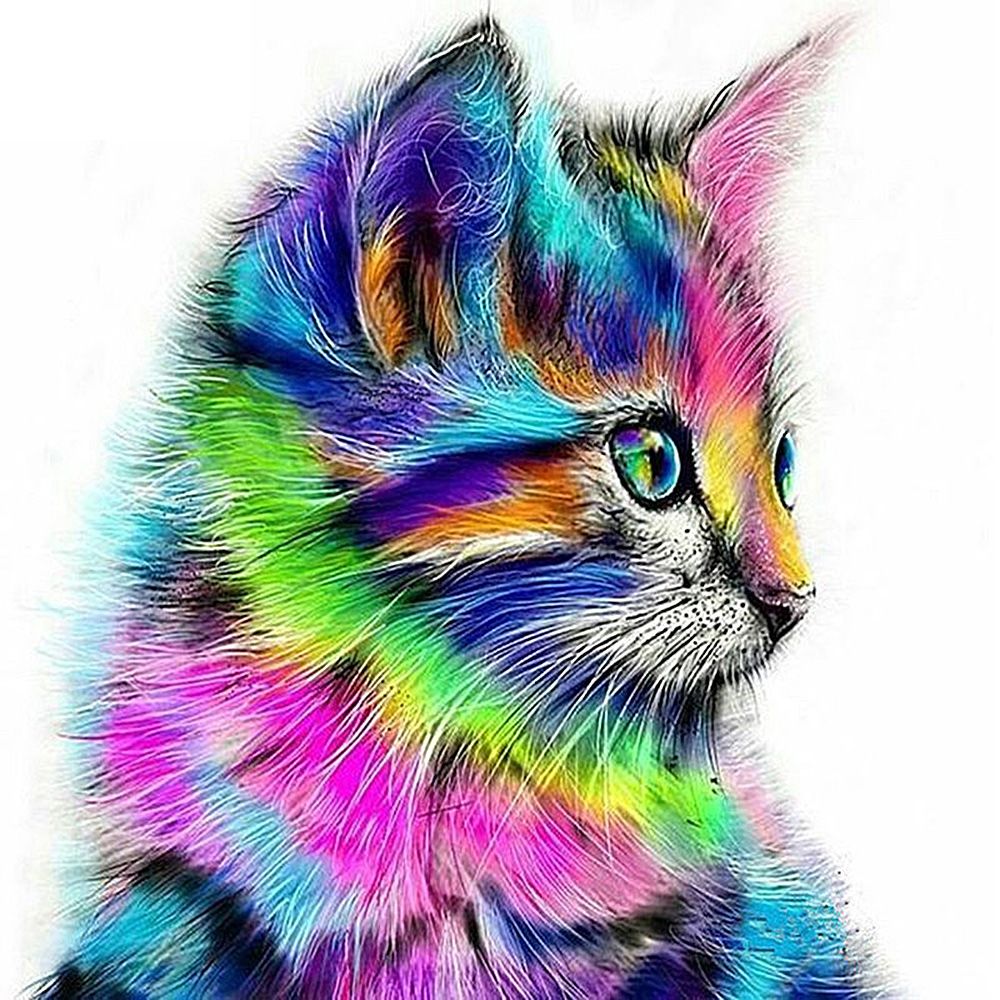 12 * 12 inches/30 * 30cm DIY 5D Diamond Painting Kit Colorful Cat Pattern view 2