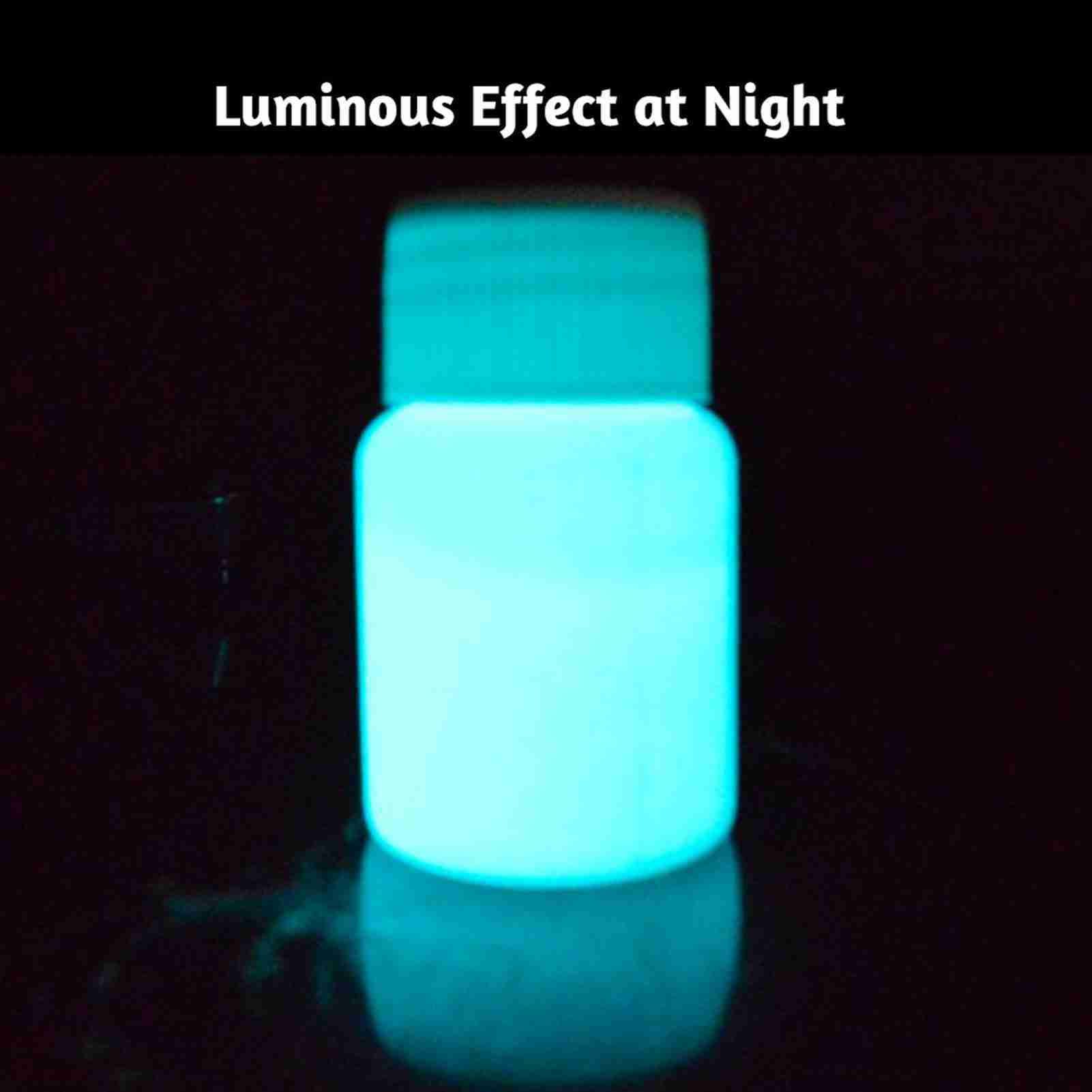 20g Glow in the Dark Fluorescent Colorful Acrylic Luminous Paint Bright