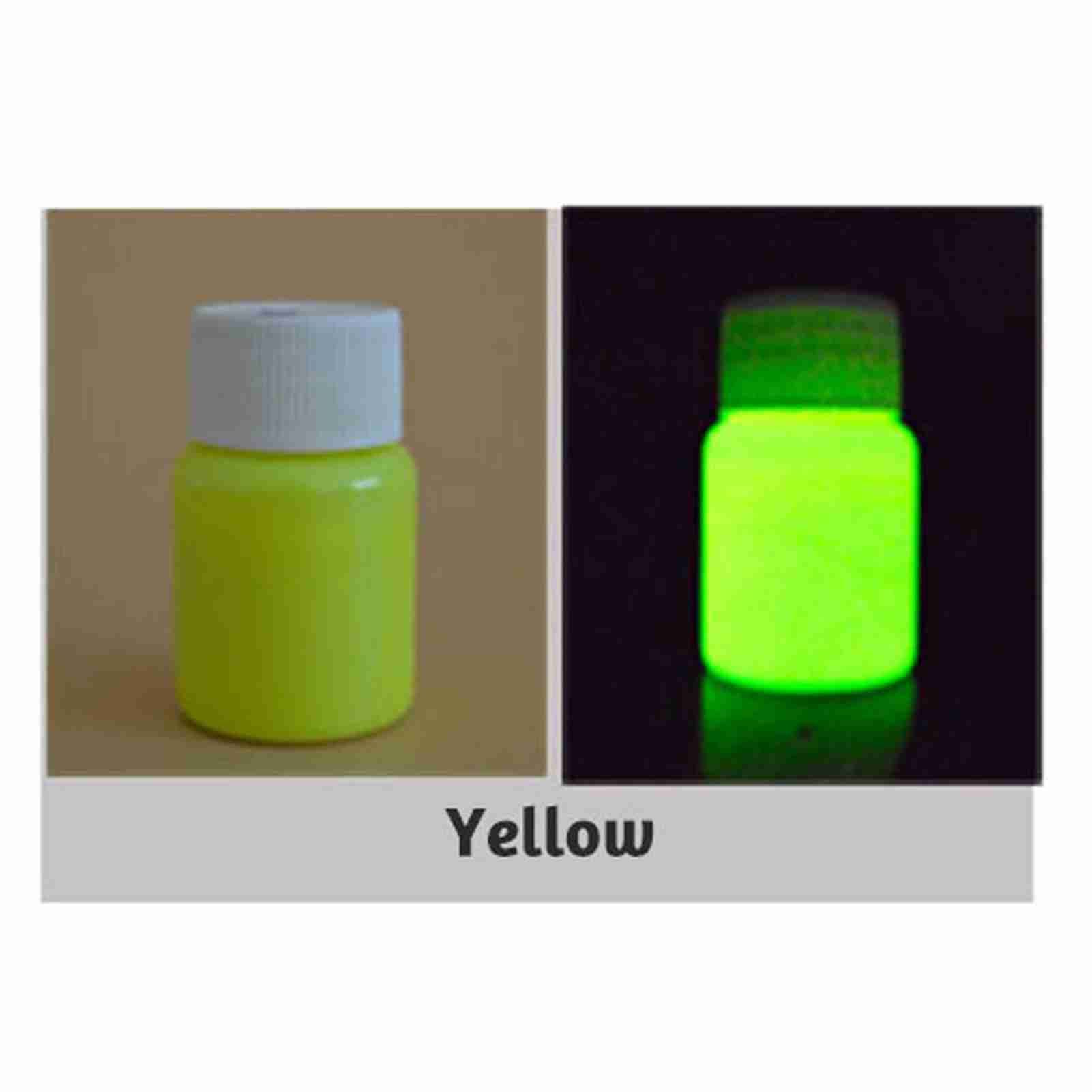 20g Glow in the Dark Fluorescent Colorful Acrylic Luminous Paint Bright