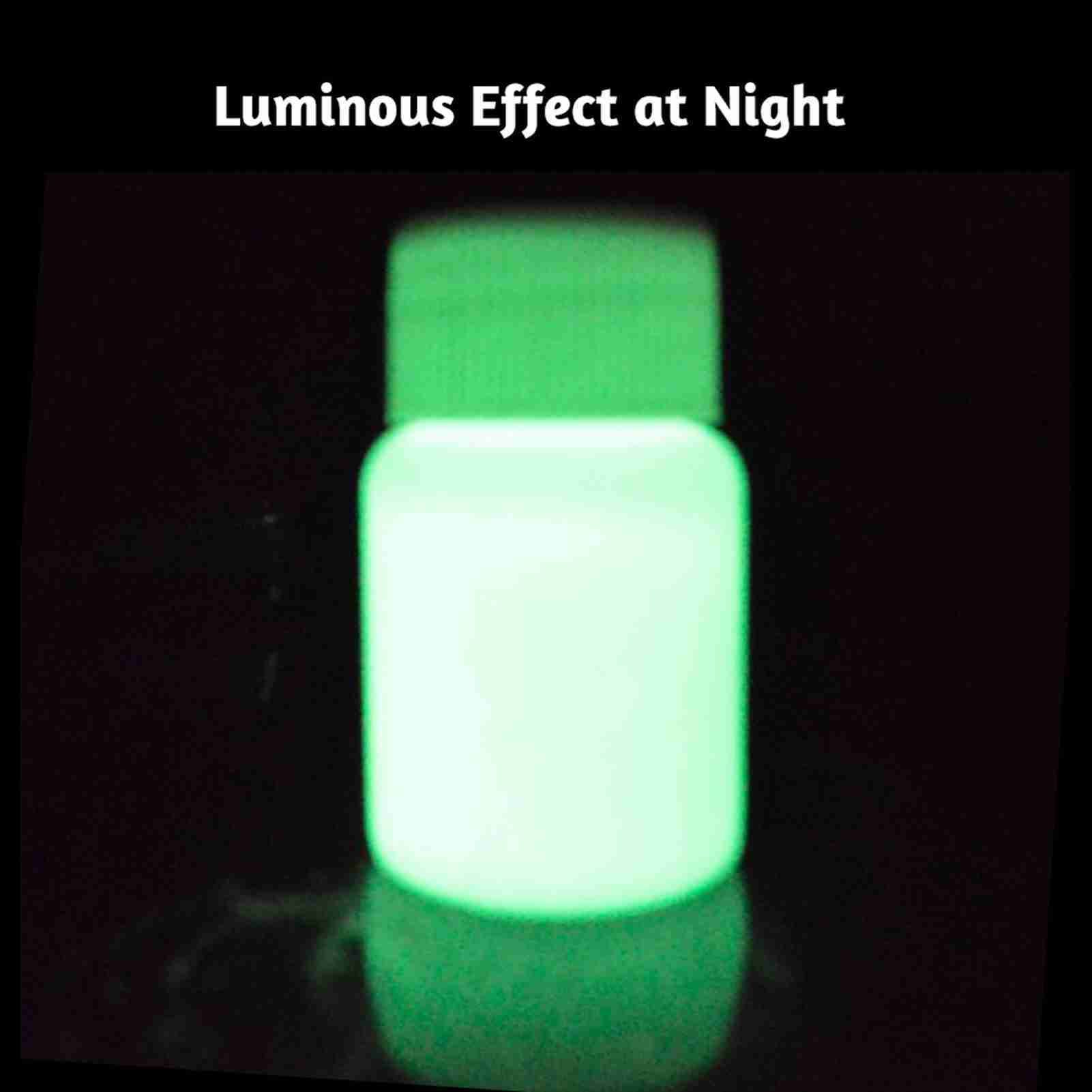 20g Glow in the Dark Fluorescent Colorful Acrylic Luminous Paint Bright