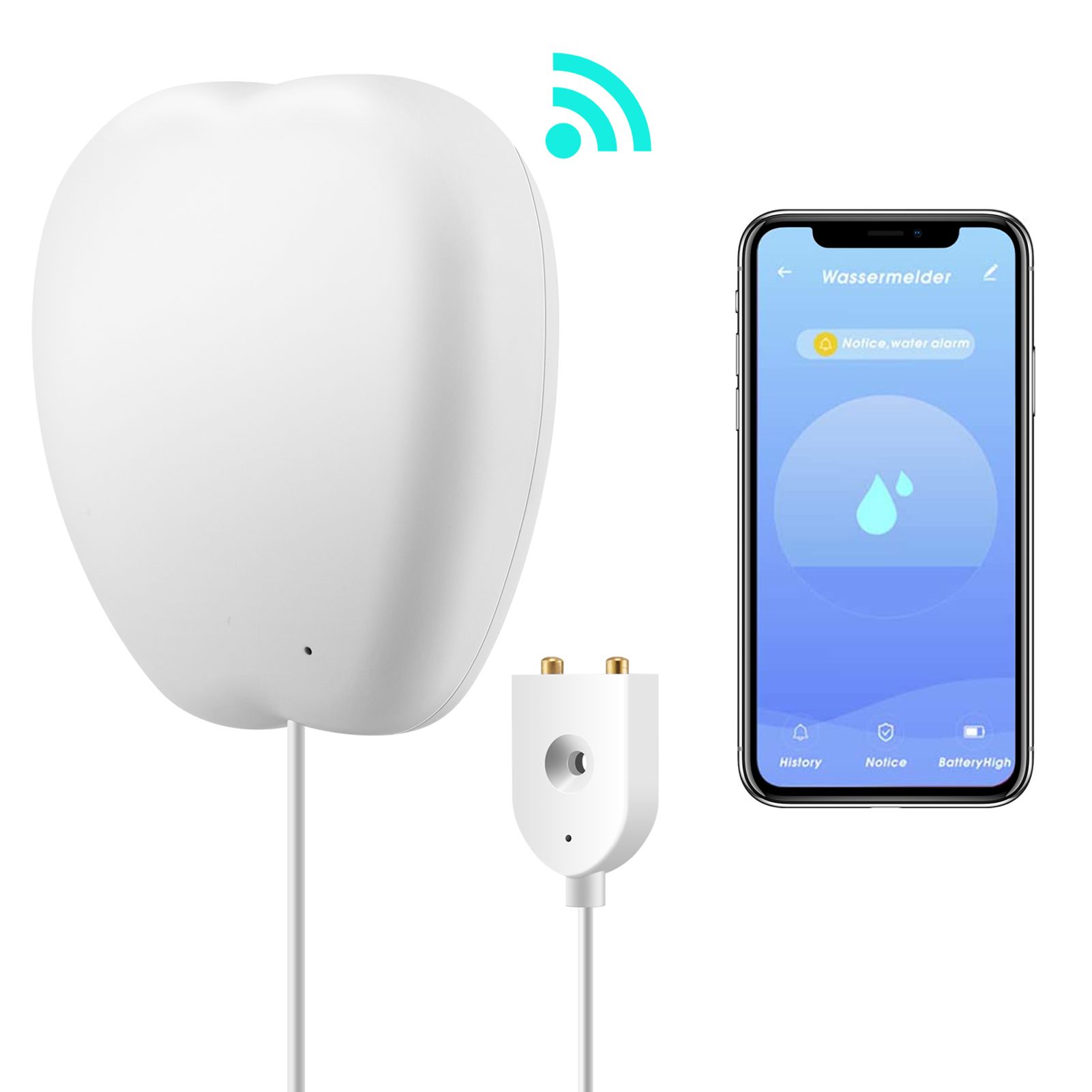 Smart Wi-Fi Water Sensor Flood and Leak Detector with 3ft view 2