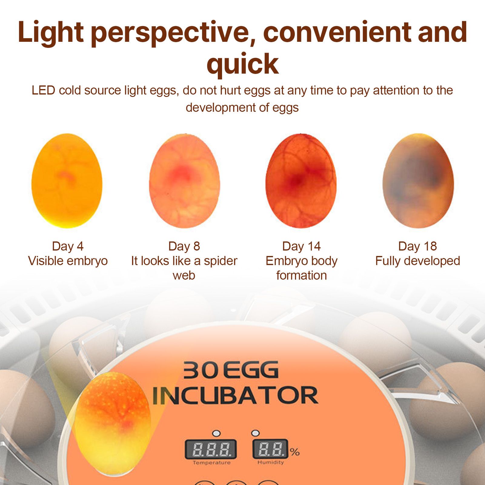 30 Eggs Incubator with Automatic Egg Turning Humidity Control Temperature view 11