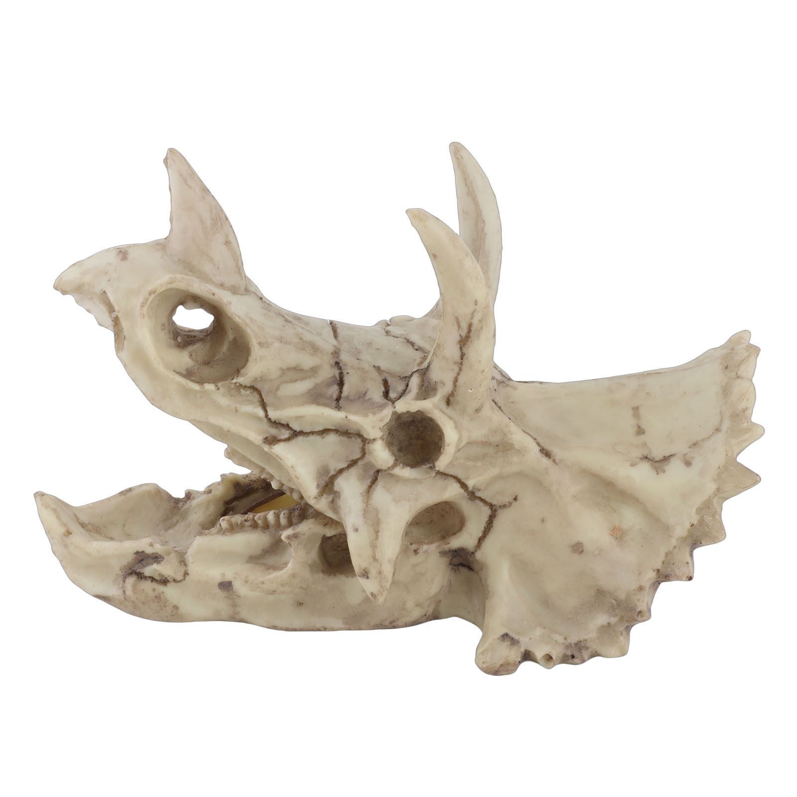 Resin Dinosaur Triceratops Skull Model Simulated Skeleton Home Office Display view 2