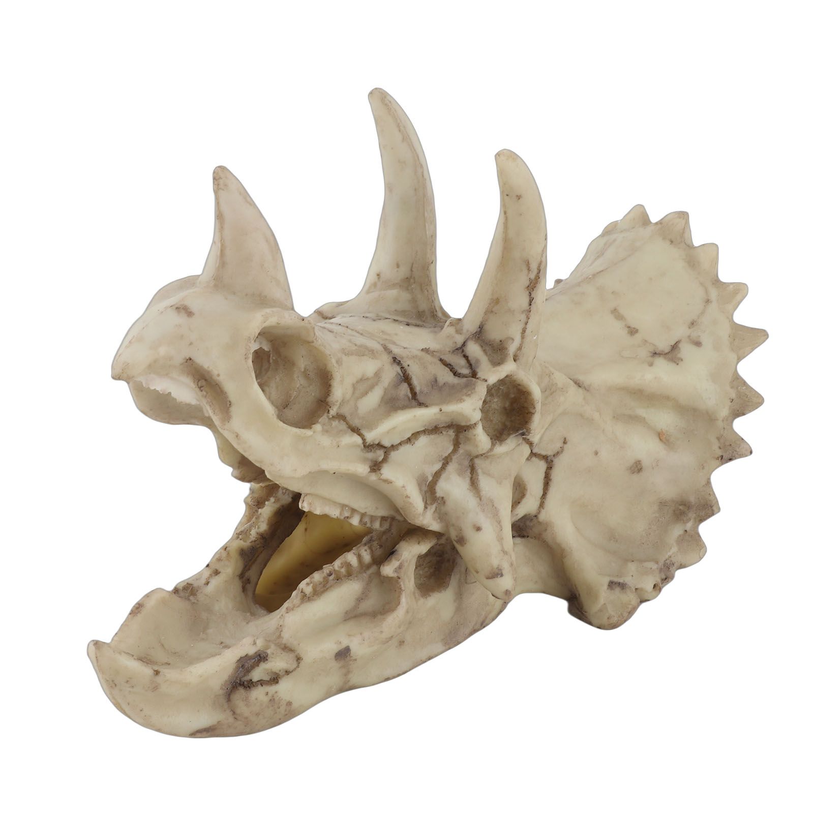 Resin Dinosaur Triceratops Skull Model Simulated Skeleton Home Office Display view 7