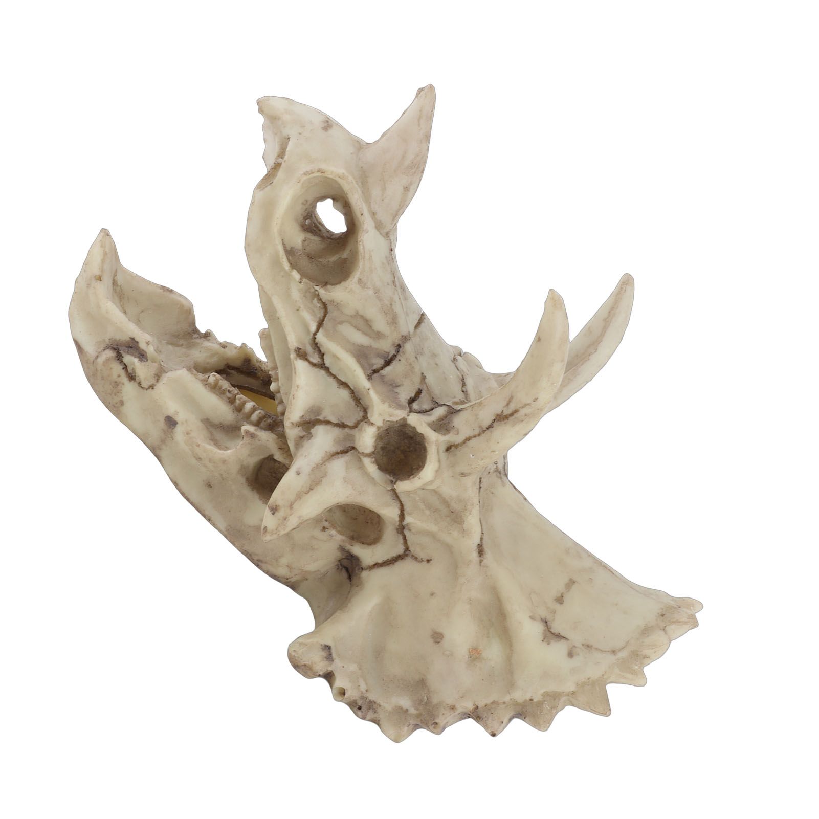 Resin Dinosaur Triceratops Skull Model Simulated Skeleton Home Office Display view 8