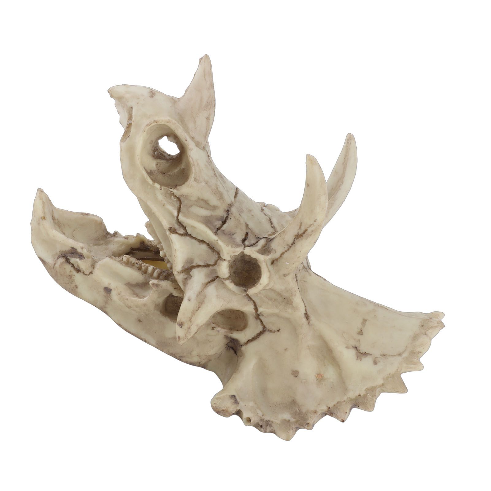 Resin Dinosaur Triceratops Skull Model Simulated Skeleton Home Office Display view 9