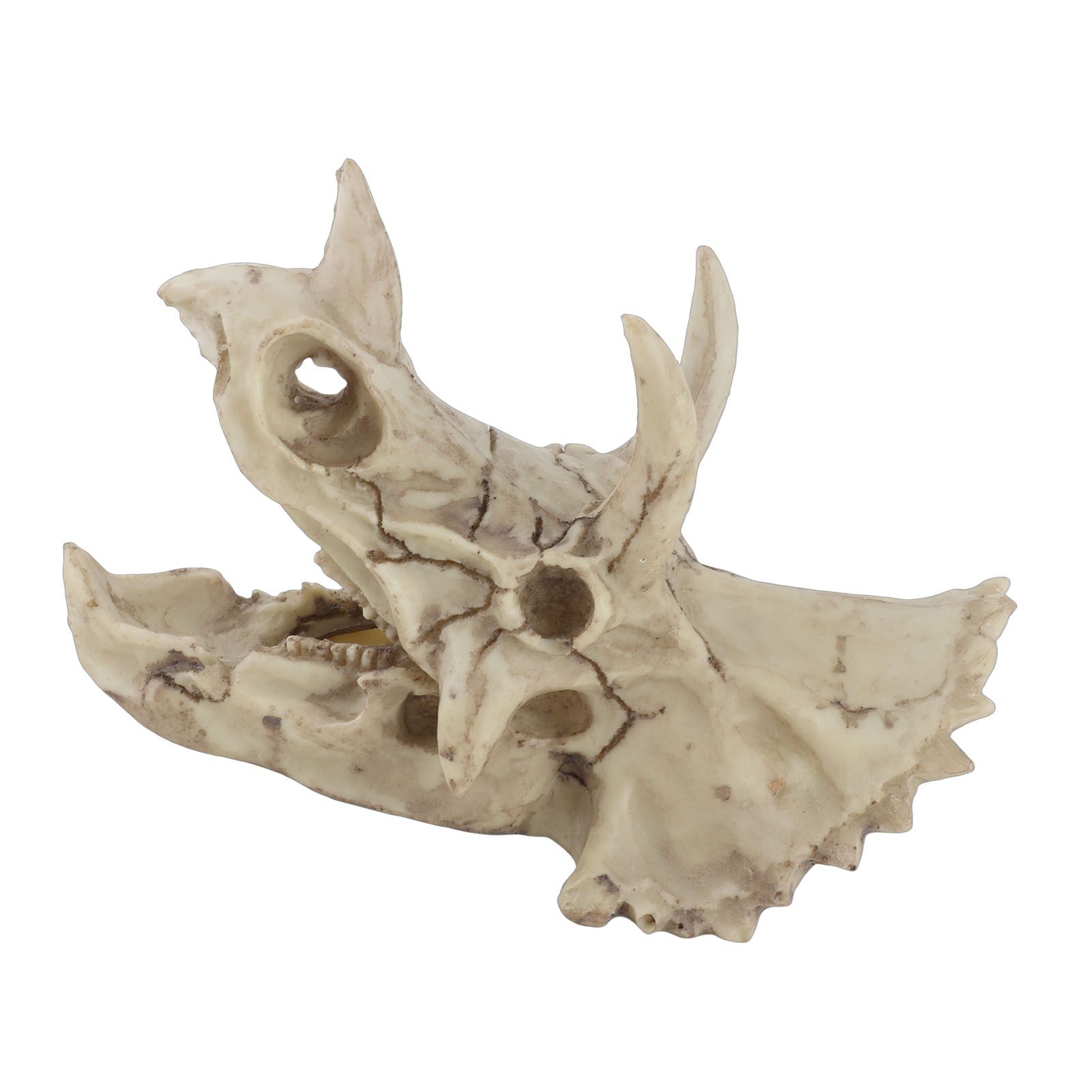 Resin Dinosaur Triceratops Skull Model Simulated Skeleton Home Office Display view 10