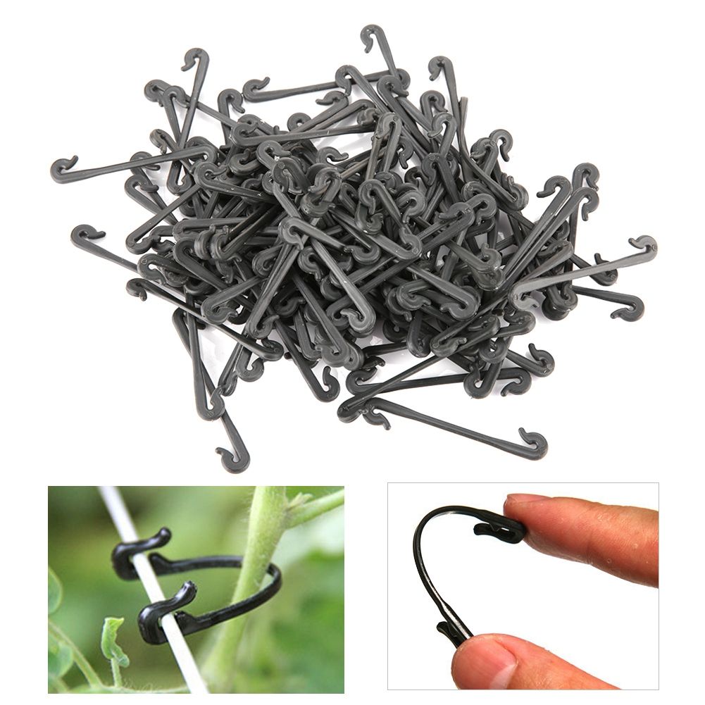 100Pcs Grape Grafting Clips Garden Plant Vegetable Vine Fixing Clamp Black view 5