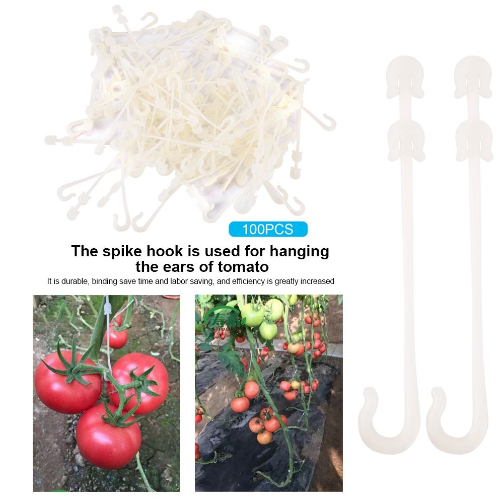 Garden Plants Support Clips Vine Pull Hook for Vegetables Cherry Tomato view 8