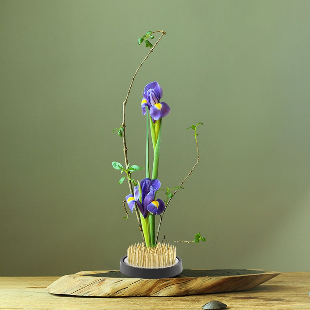 Round Flower Arrangement Pin Ikebana Kenzan Flower Decoration Fixed Arranging view 3