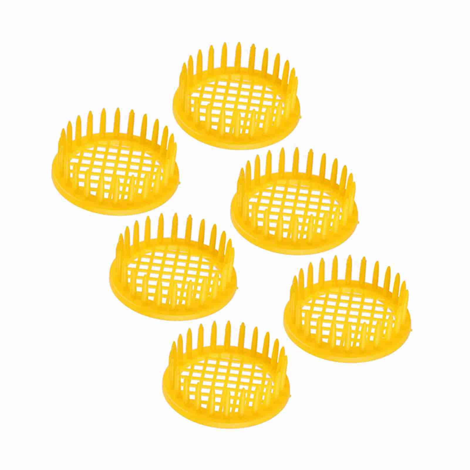 6 Pcs Queen Bee Rearing Box Cell Beekeeping Equipment view 3